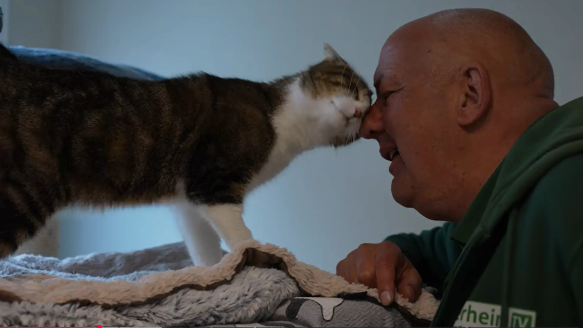 Gerade kuschelt er noch mit Heiko Engel vom Tierheim TV, wünscht sich aber ein neues Zuhause.