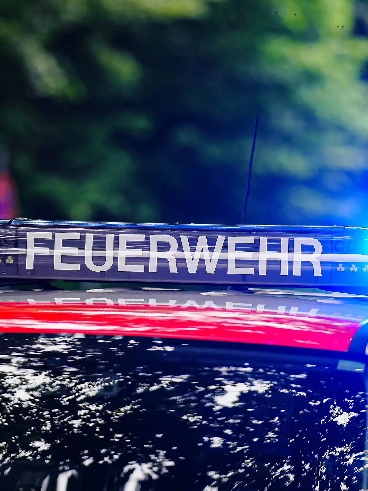 Aufschrift "Feuerwehr" auf Feuerwehrauto, mit Blaulicht Symbolfoto: Blaulicht, 08.06.2026 Foto: Eibner-Pressefoto/Marcel von Fehrn