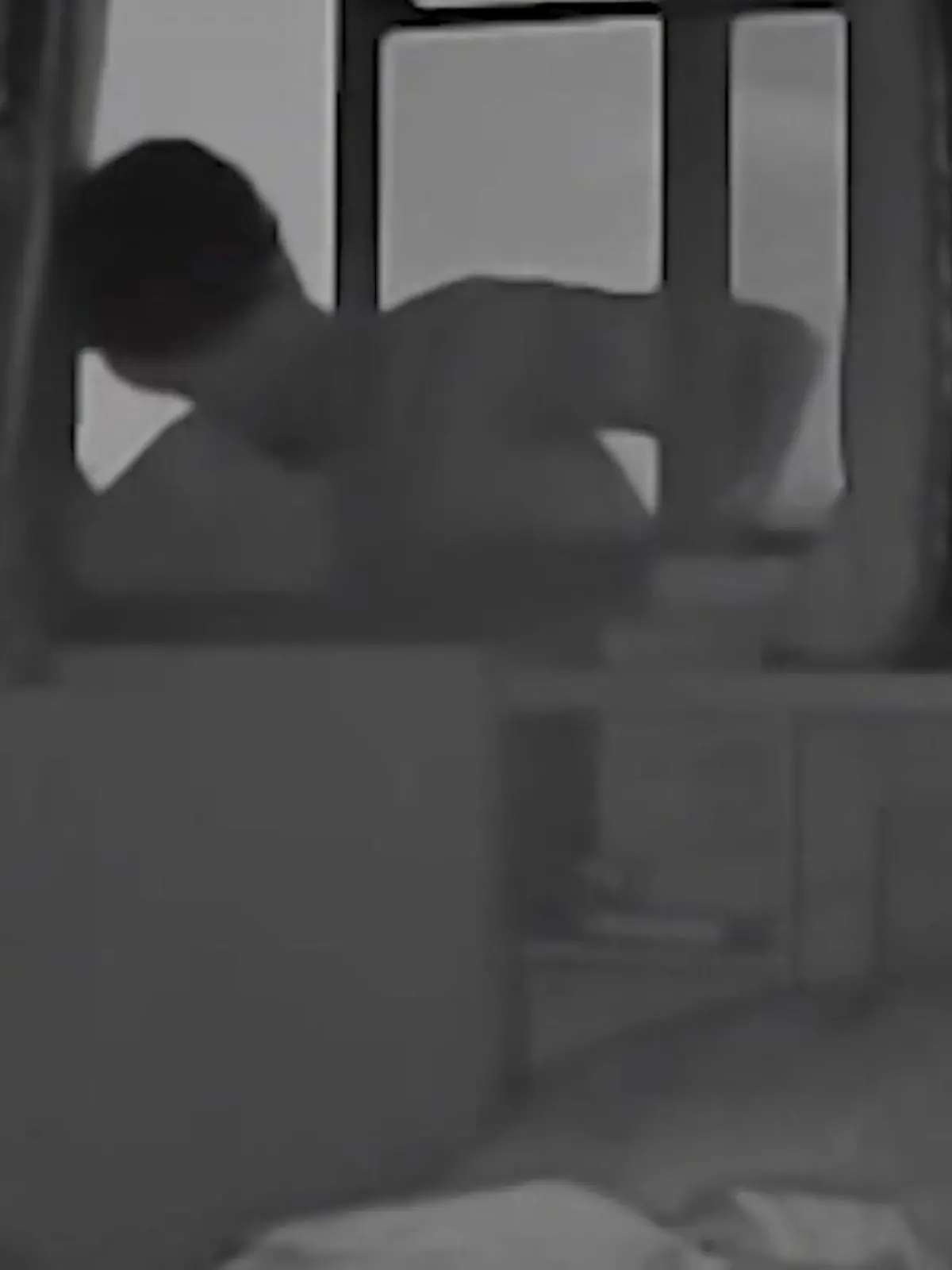 Bild zu: "In Schlafzimmer eingebrochen! 22-Jährige entlarvt Mann – weil Katze DAS macht"