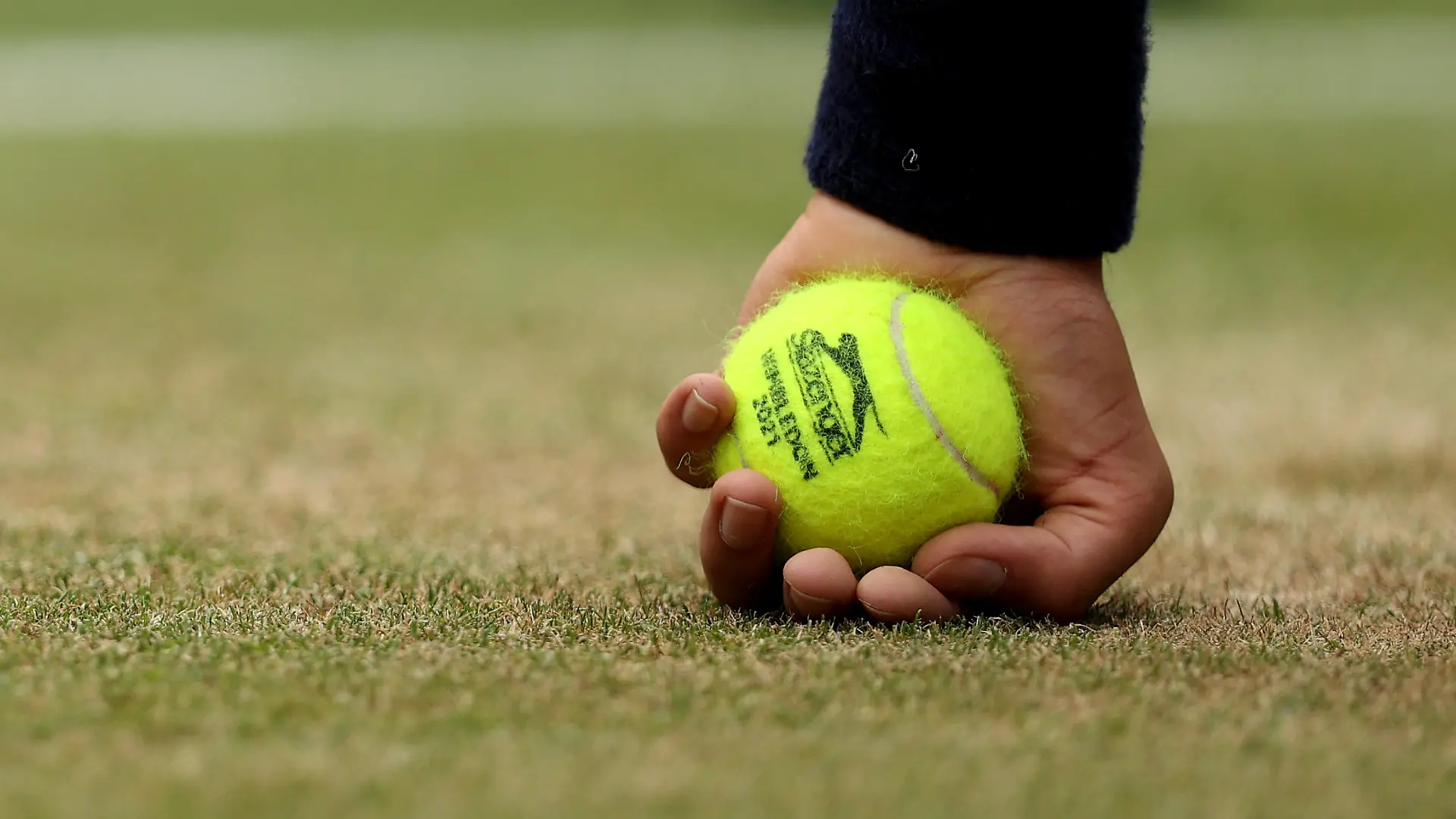 LONDON, ENGLAND - JULY 07: Detail view of a tennis ball held by a ball boy on Day Nine of The Championships - Wimbledon 2021 at All England Lawn Tennis and Croquet Club on July 07, 2021 in London, England. (Photo by Clive Brunskill/Getty Images)