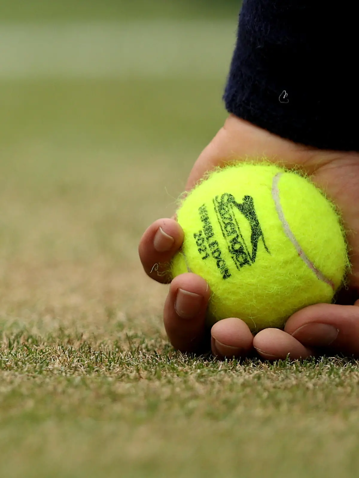 LONDON, ENGLAND - JULY 07: Detail view of a tennis ball held by a ball boy on Day Nine of The Championships - Wimbledon 2021 at All England Lawn Tennis and Croquet Club on July 07, 2021 in London, England. (Photo by Clive Brunskill/Getty Images)