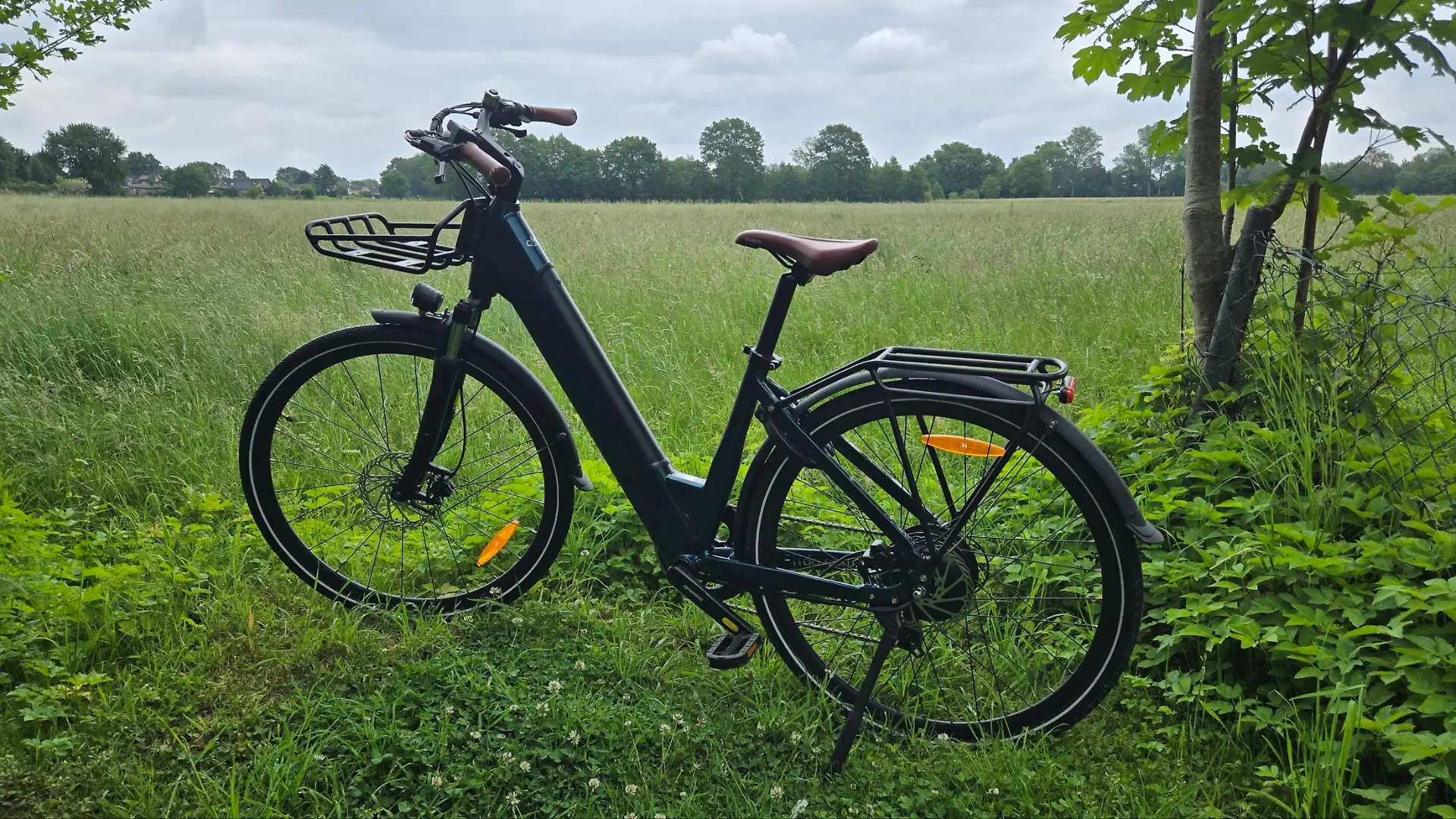 fiido-c11pro-ebike-test-im-gruenen