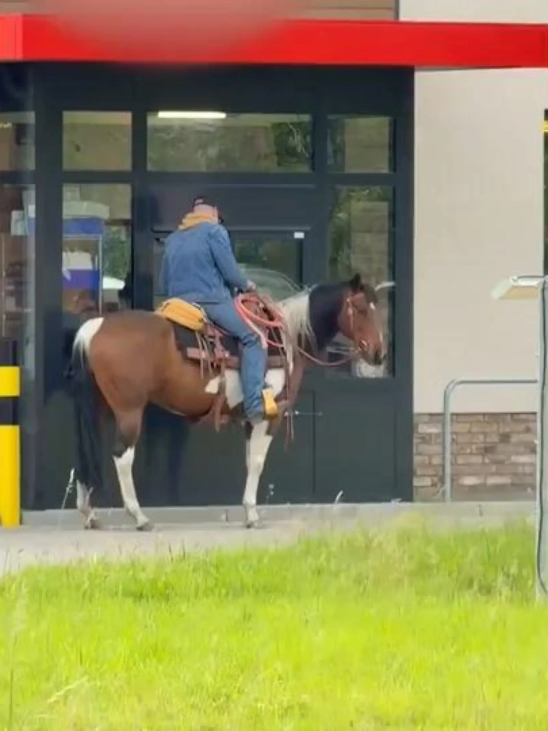Bild zu: "Pferd im Drive-In einer Fastfood-Filiale in Selm"