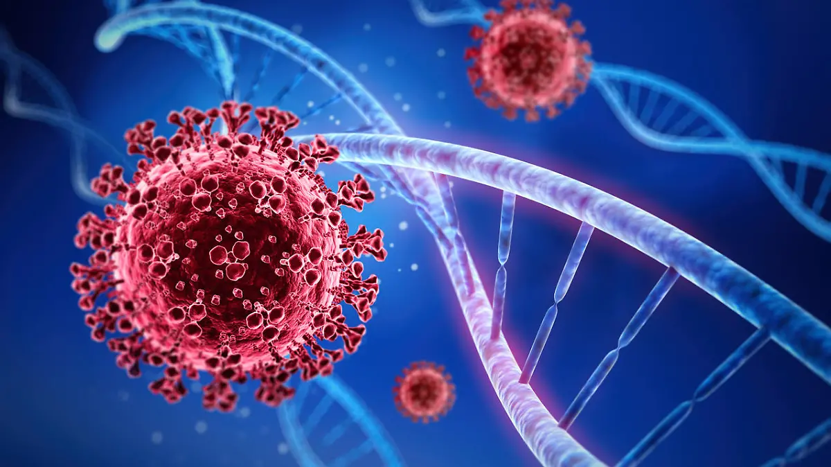 Das Corona-Virus: Ganz verschwinden wird es wahrscheinlich nicht mehr.