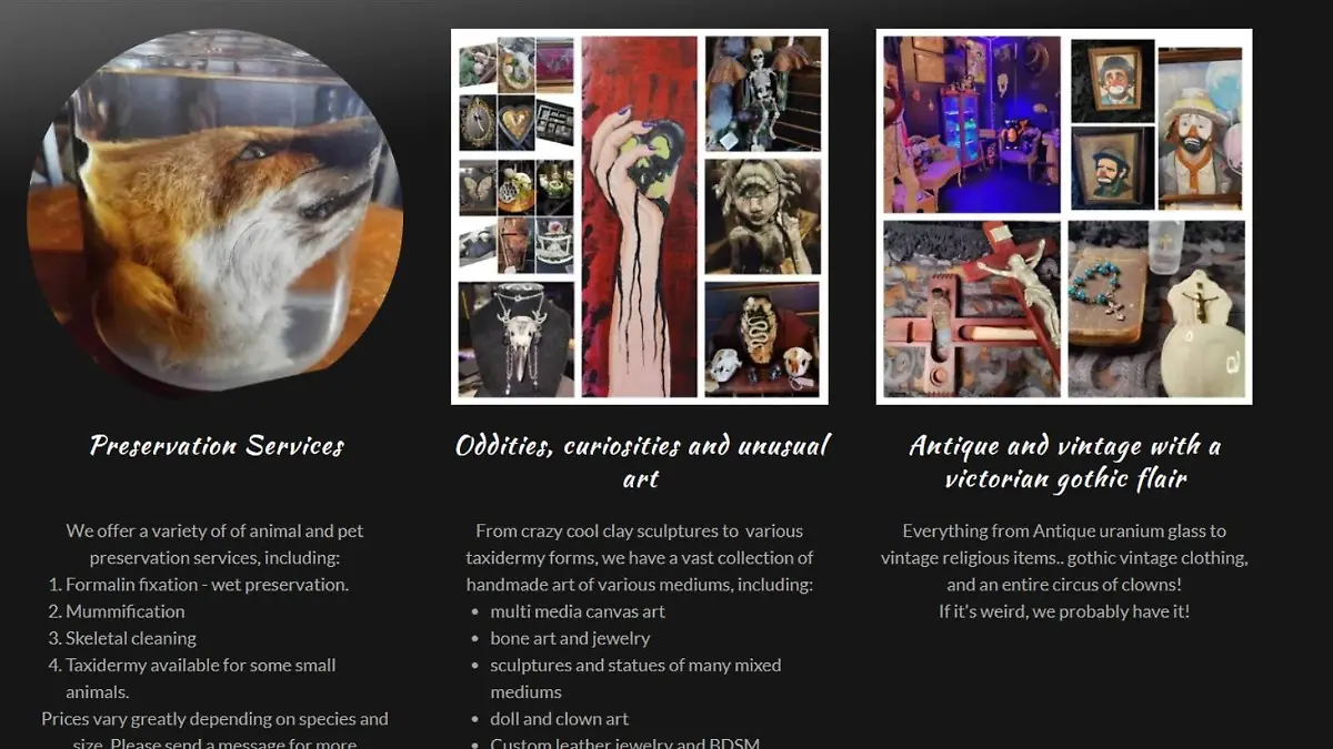 Website von  „Wicked Wonderland“ 