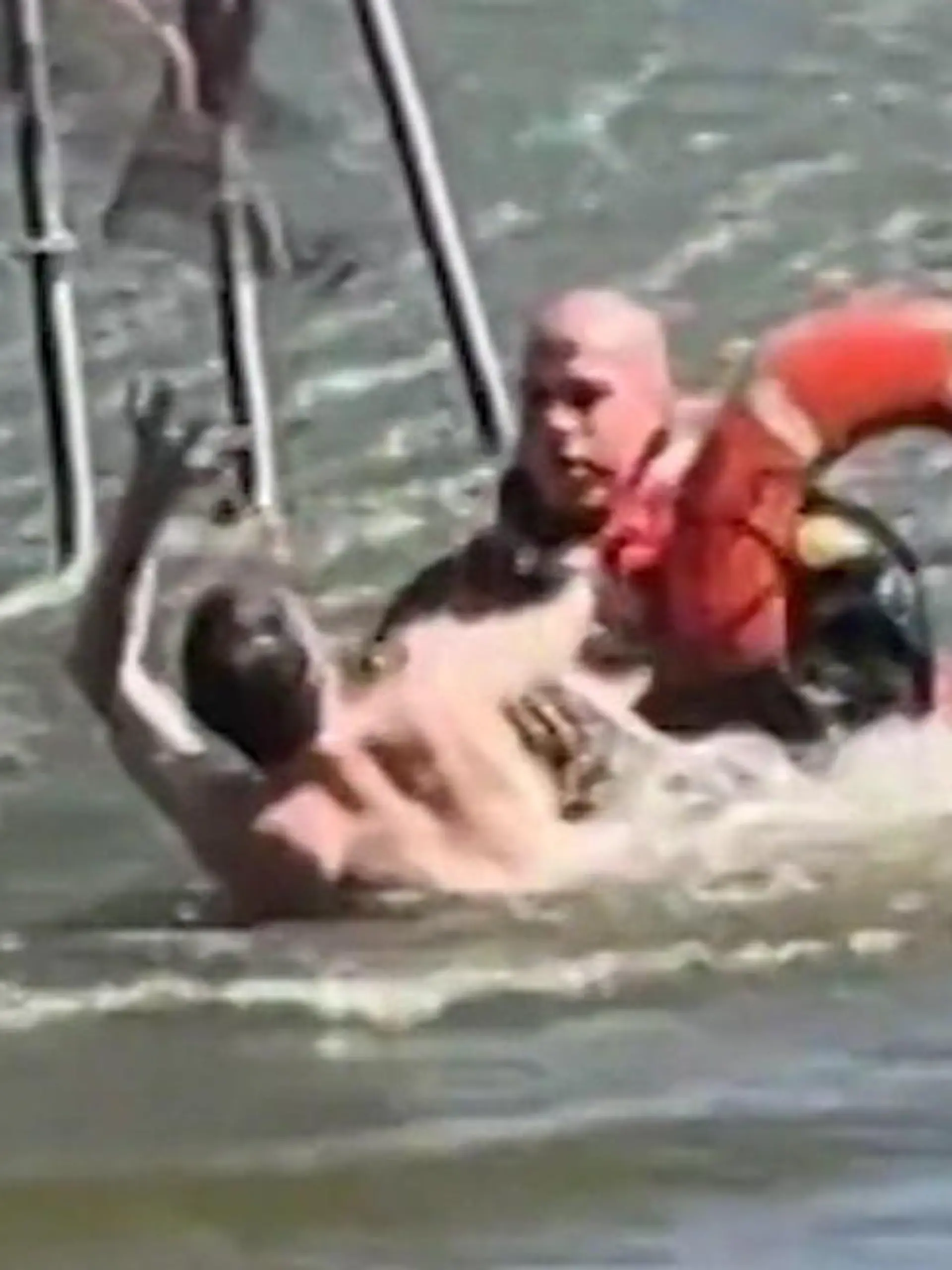 Bild zu: "Wasser-Wrestling im Central Park! Polizei duelliert sich mit dreistem Dieb"