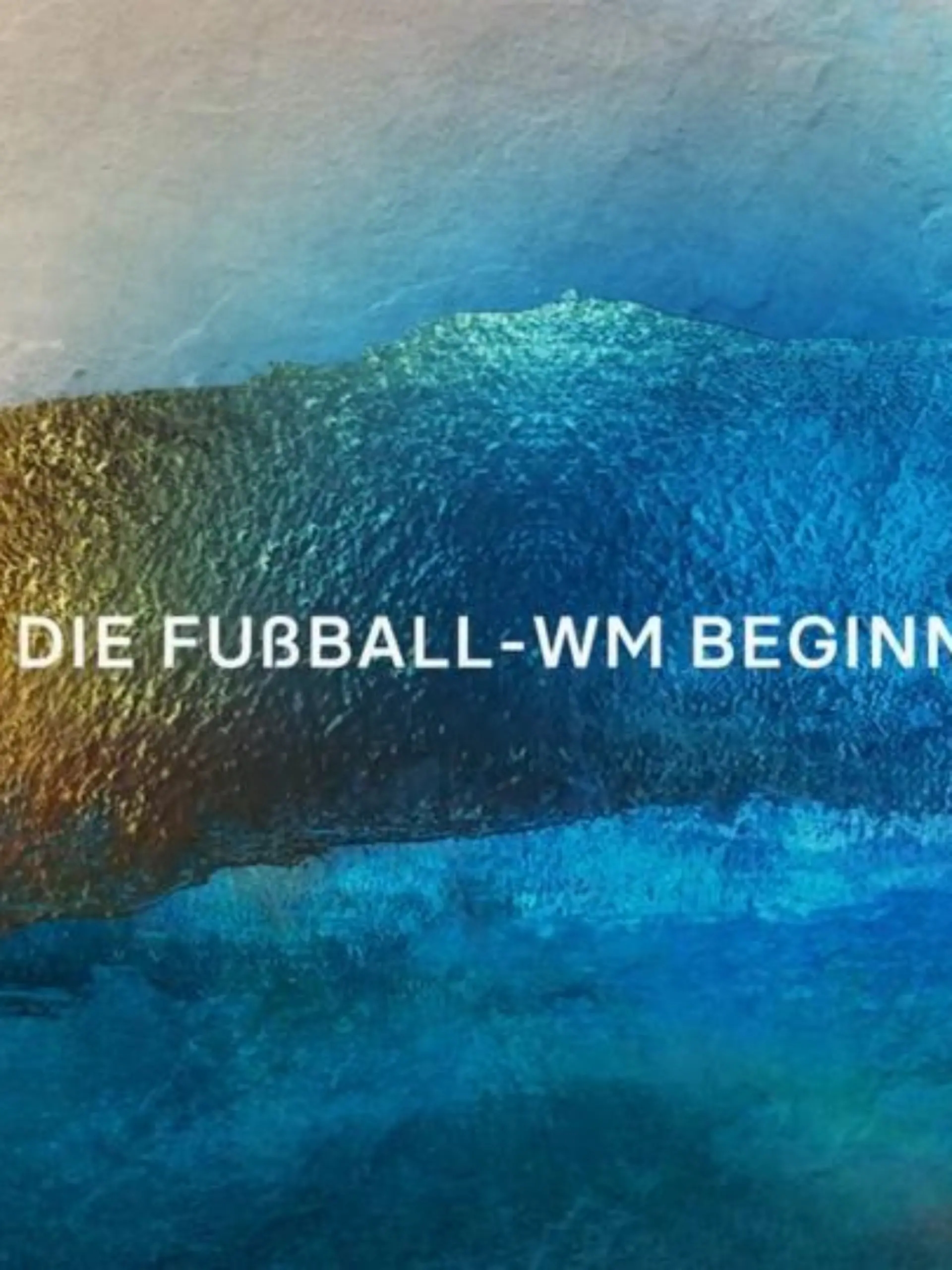 Bild zu: "DIE FUSSBALL - WM BEGINNT"