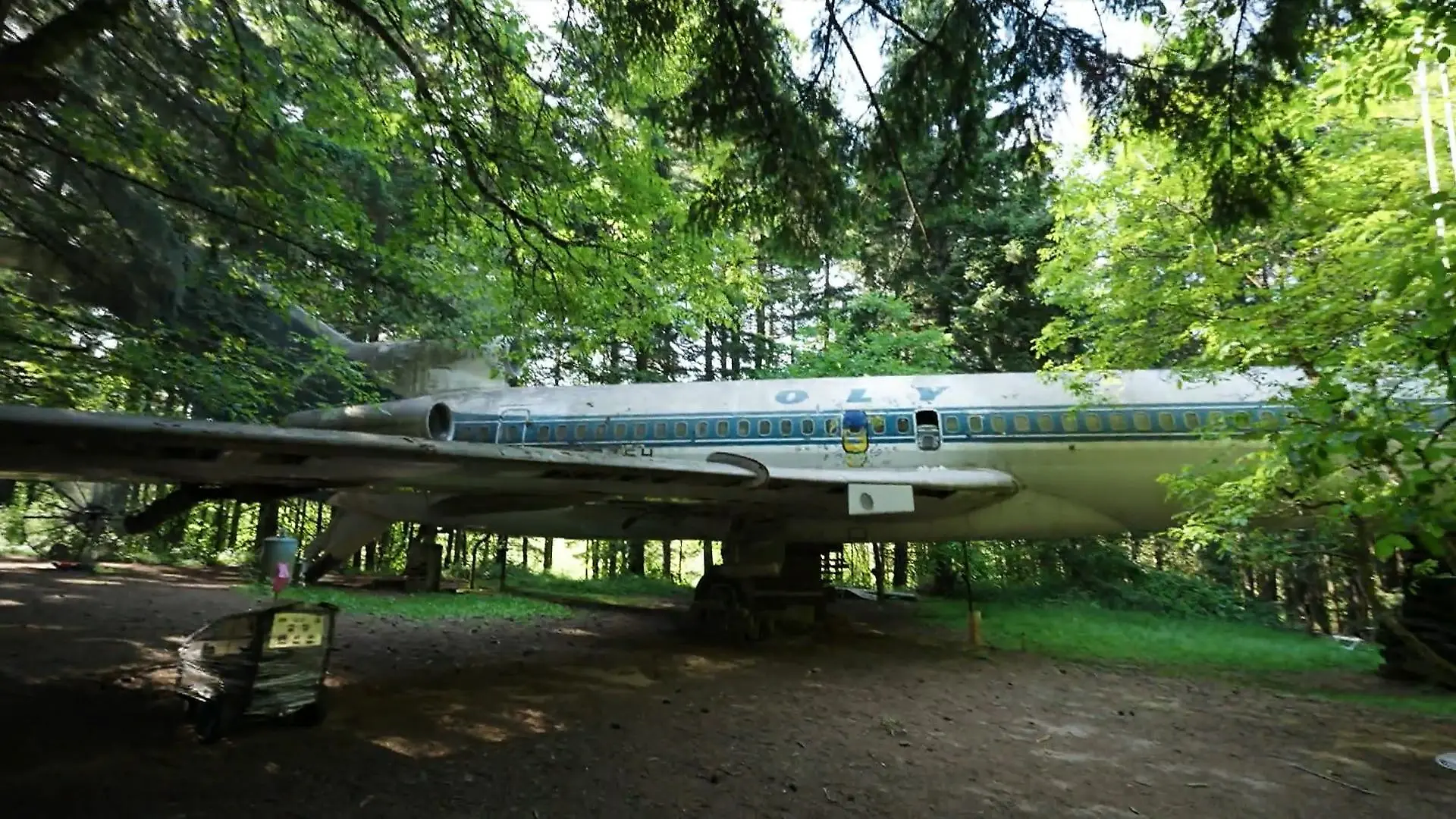 Einsiedler lebt im abgewrackter Boeing zwischen Bäumen Flugzeug im Wald