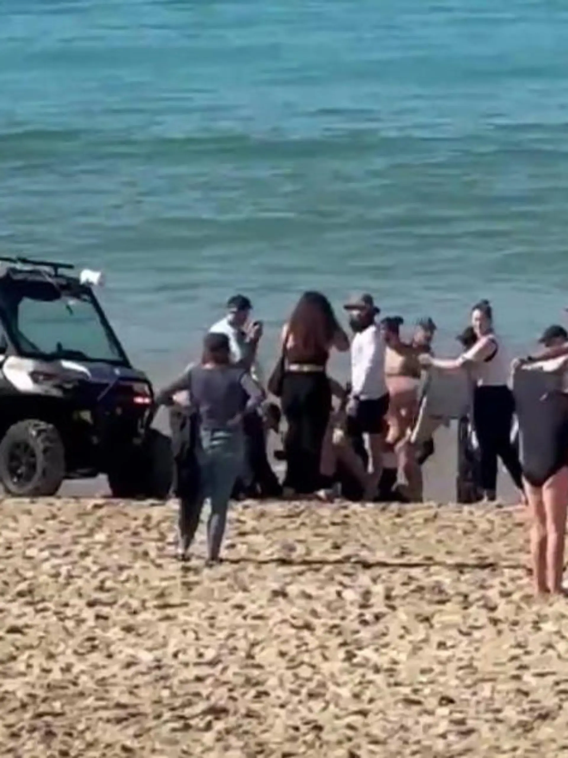 Bild zu: "Hai-Alarm am Strand! Raubfisch greift Schwimmerin an"