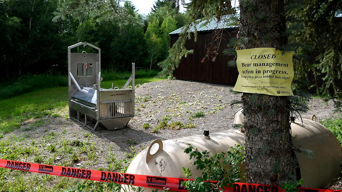 A bear trap set by Montana Fish, Wildlife and Parks sets Wednesday, July 7, 2021, in the camping area in Ovando, Mont., where bicycle tourist Leah Davis Lokan of Chico, California, was pulled out of her tent and killed by a grizzly bear early Tuesday. (Tom Bauer/Missoulian via AP)