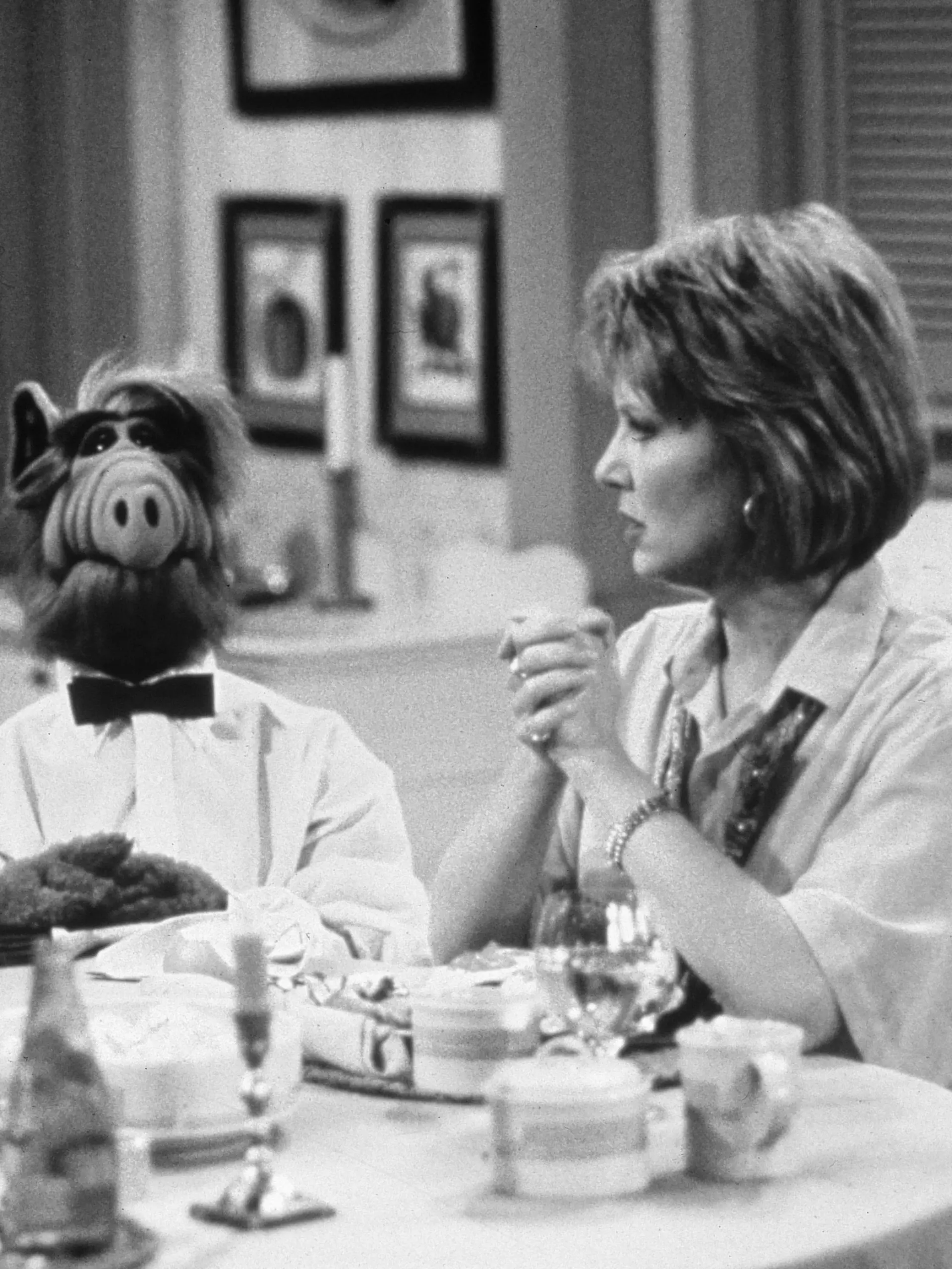 Die Serie „Alf” begeisterte in den 80er-Jahren ein Millionenpublikum