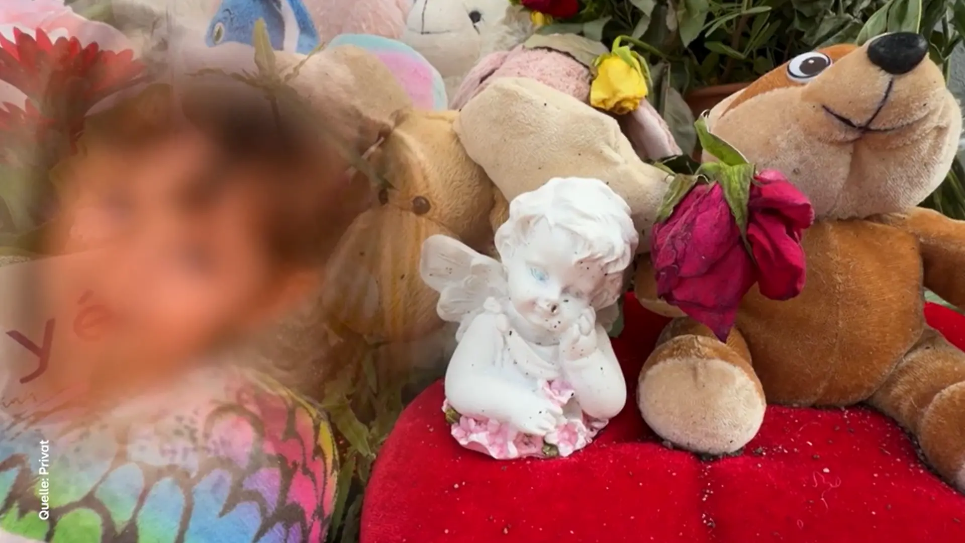 Alicia wurde viel zu früh aus dem Leben gerissen