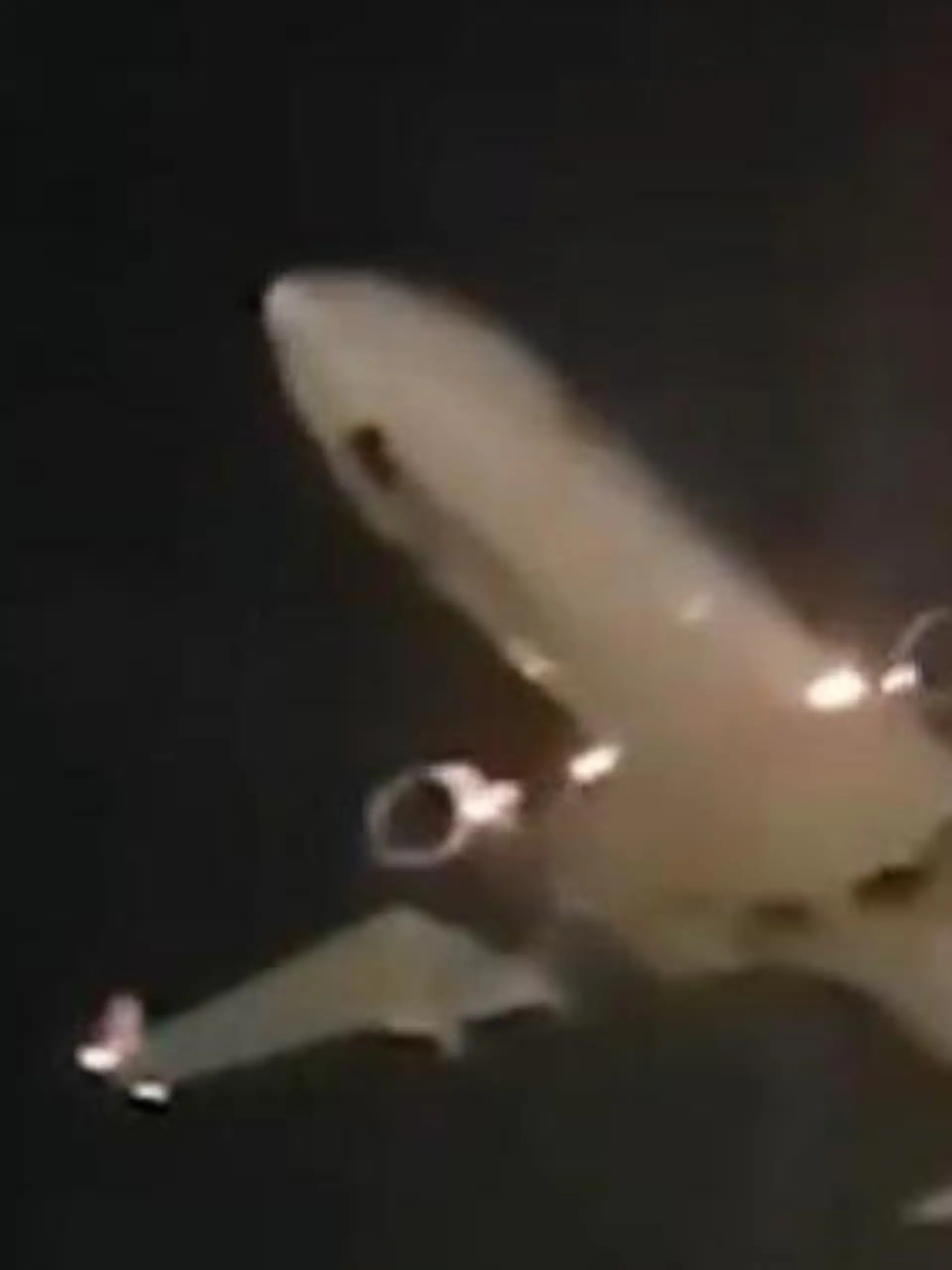 Bild zu: "Flugzeug verschwindet vom Radar – dann folgt die Notlandung"
