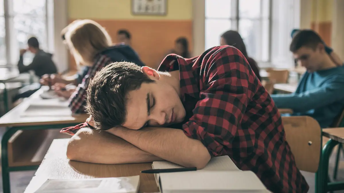 Sollte die Schule dem Biorhythmus angepasst werden?