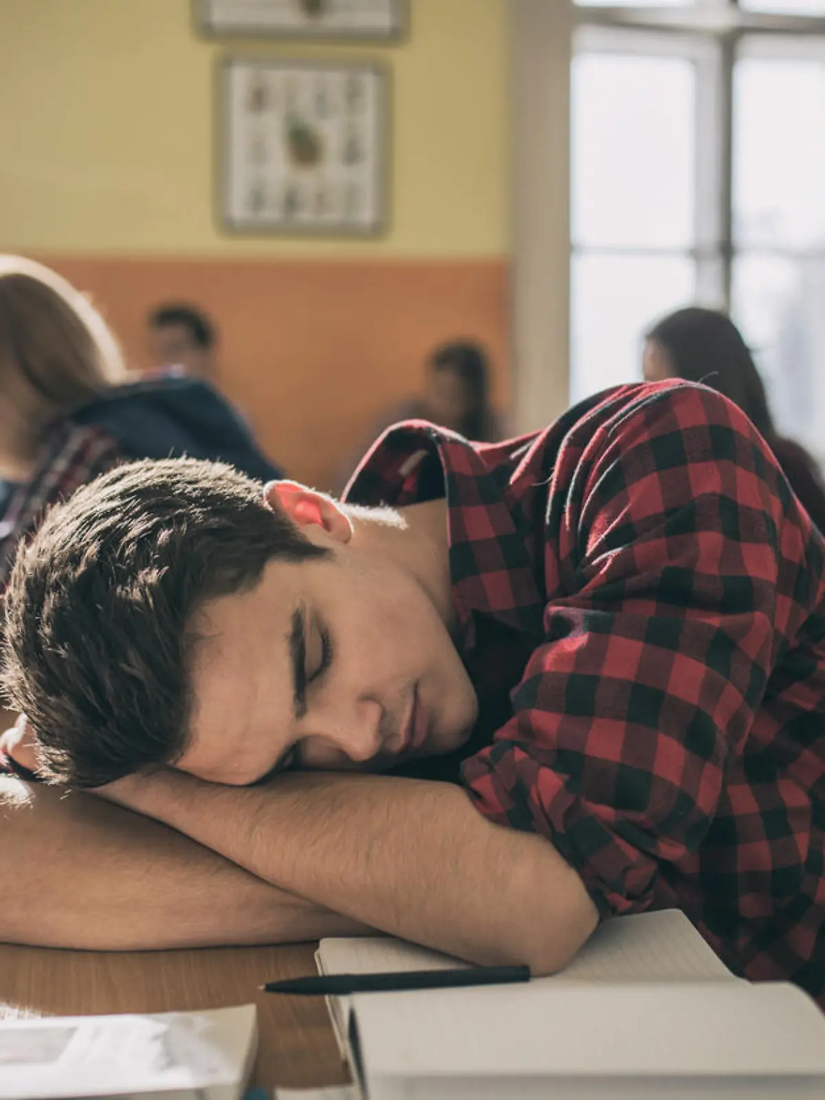 Sollte die Schule dem Biorhythmus angepasst werden?