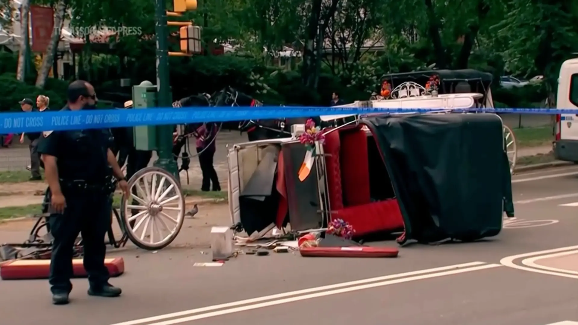 Horse Carriage Death