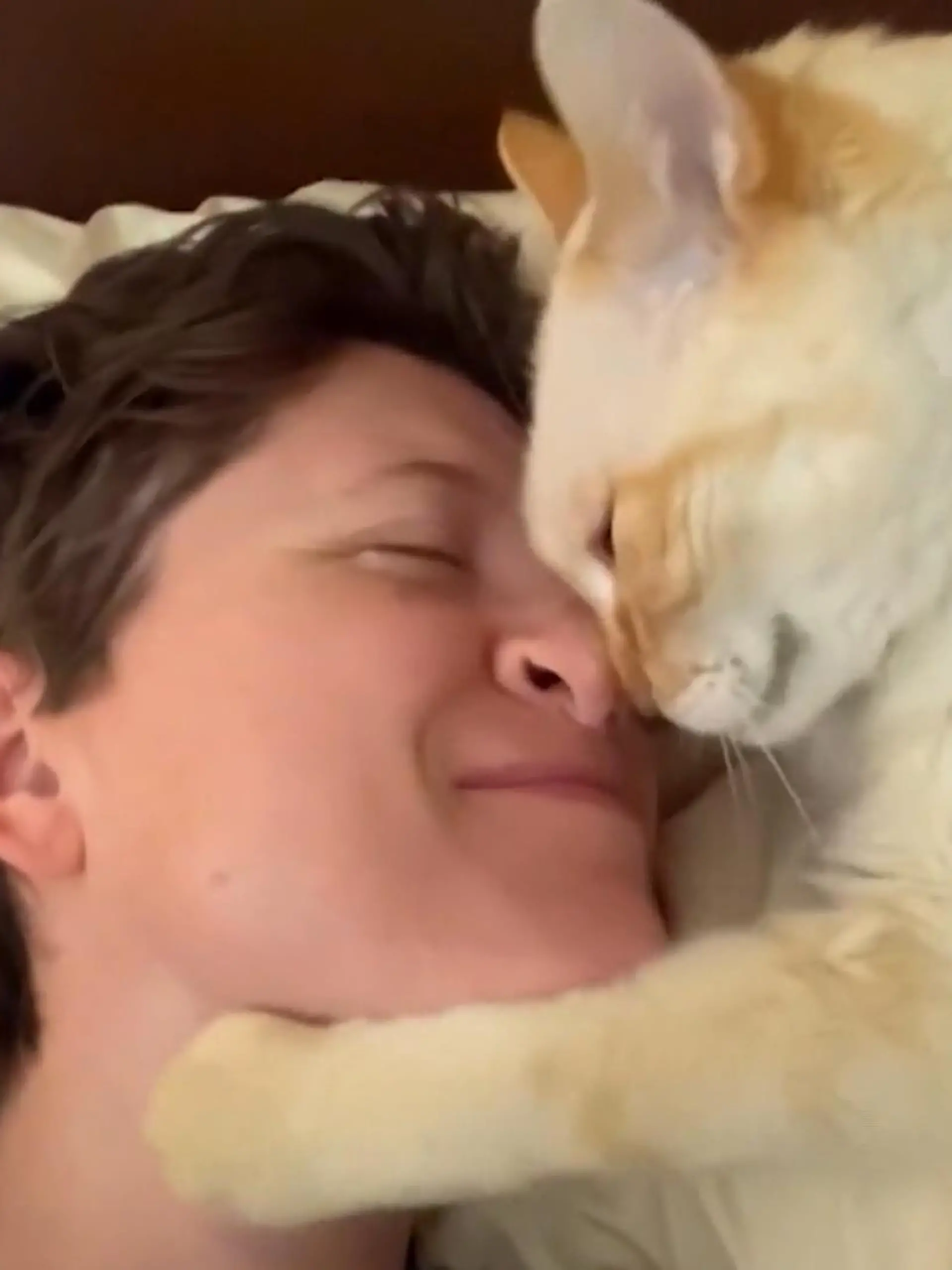 Bild zu: "Katze reibt Nase an Frauchens Nase"