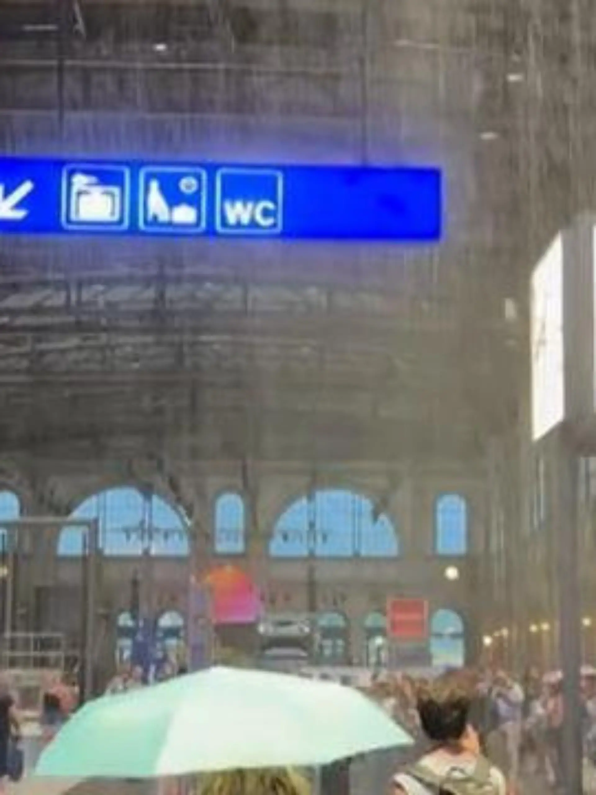 Bild zu: "Gewitter, Sturmböen und tausende Blitze! Heftige Unwetter sorgen in Zürich für Chaos"