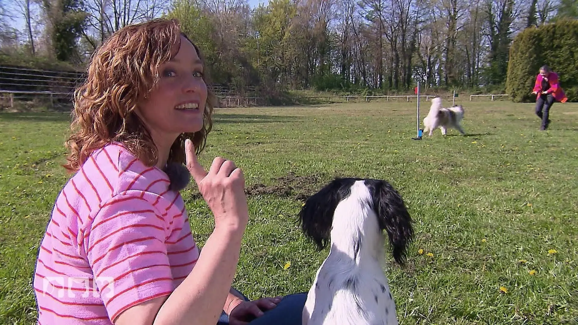 Curving: Hundesport mit Körpersprache