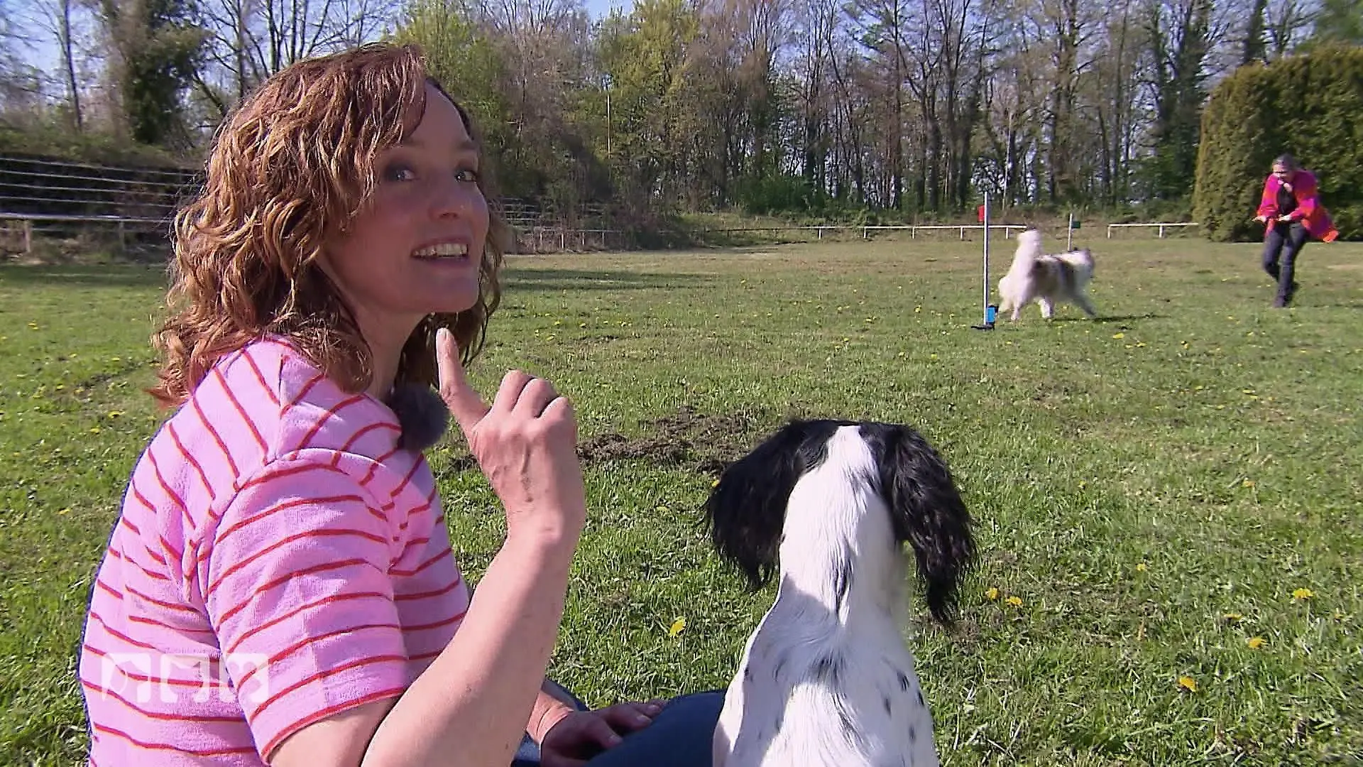 Curving: Hundesport mit Körpersprache