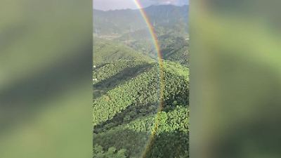 Bild von Seltenes Naturschauspiel! SO einen Regenbogen sieht man fast nie