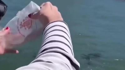 Bild von Asche in Kanal verstreut?! Urlauberin sorgt für riesige Empörung in Touri-Hotspot