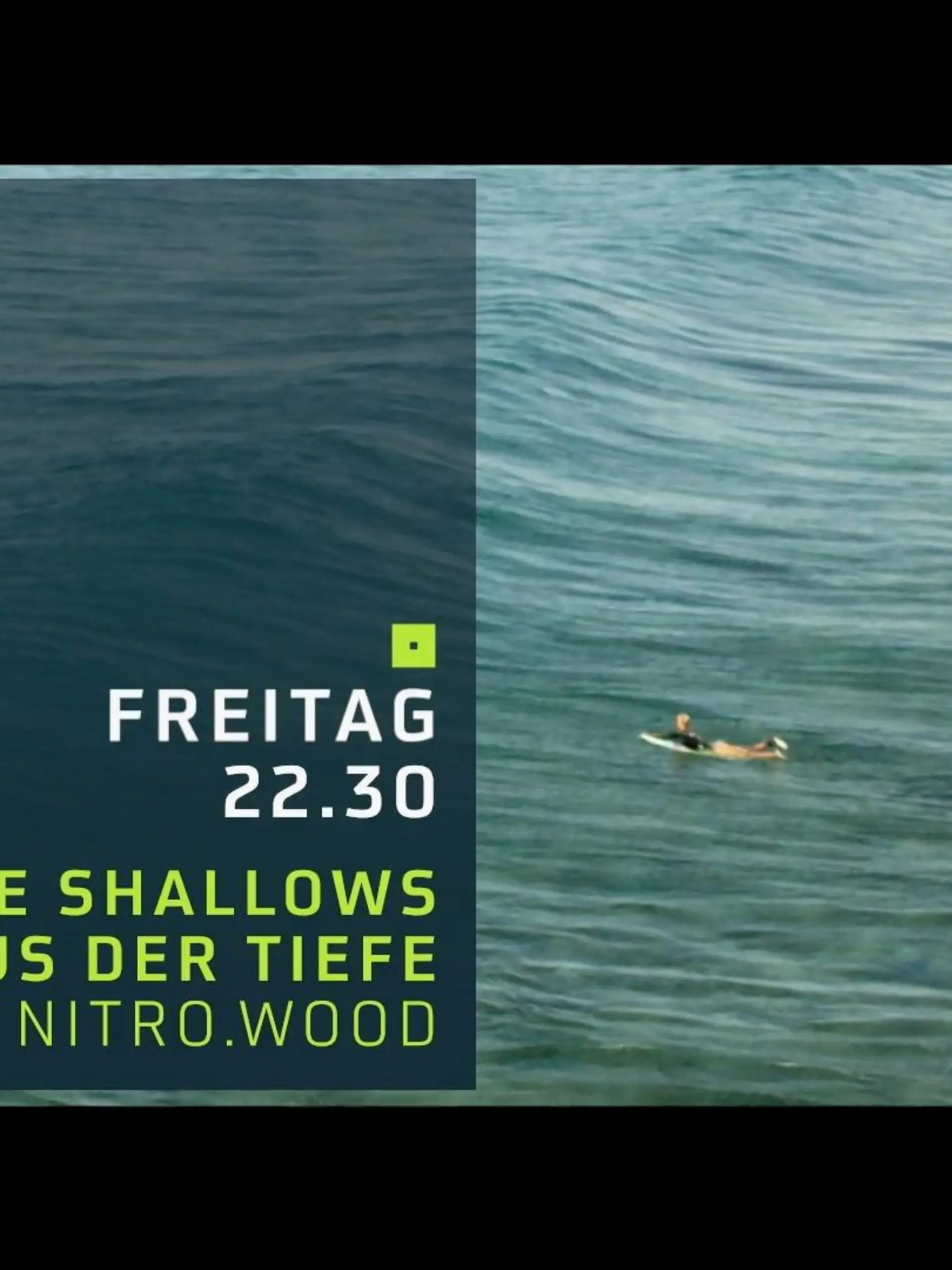 Bild zu: "The Shallows - Gefahr aus der Tiefe"