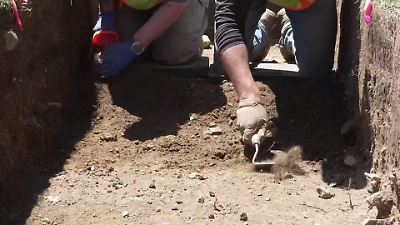 Bild von Historischer Fund im Park! DAS blieb jahrhundertelang im Boden unentdeckt