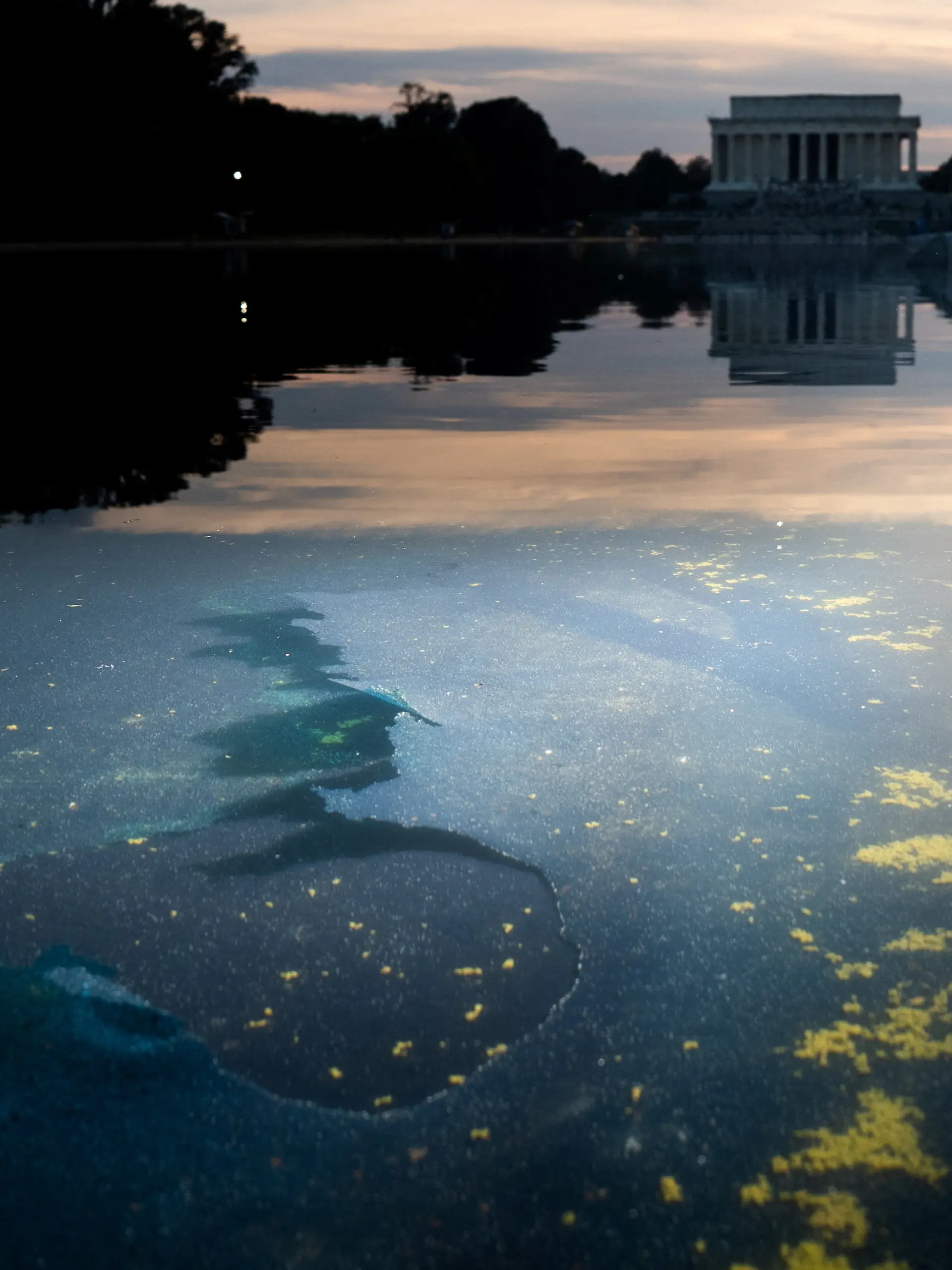 Chipped paint and algae are visible in the Lincoln Memorial Reflecting Pool, after recent renovations following a directive from U.S. President Donald Trump to paint it blue ahead of the 250th anniversary of U.S. Independence, in Washington, D.C., U.S., June 21, 2026. REUTERS/Aaron Schwartz