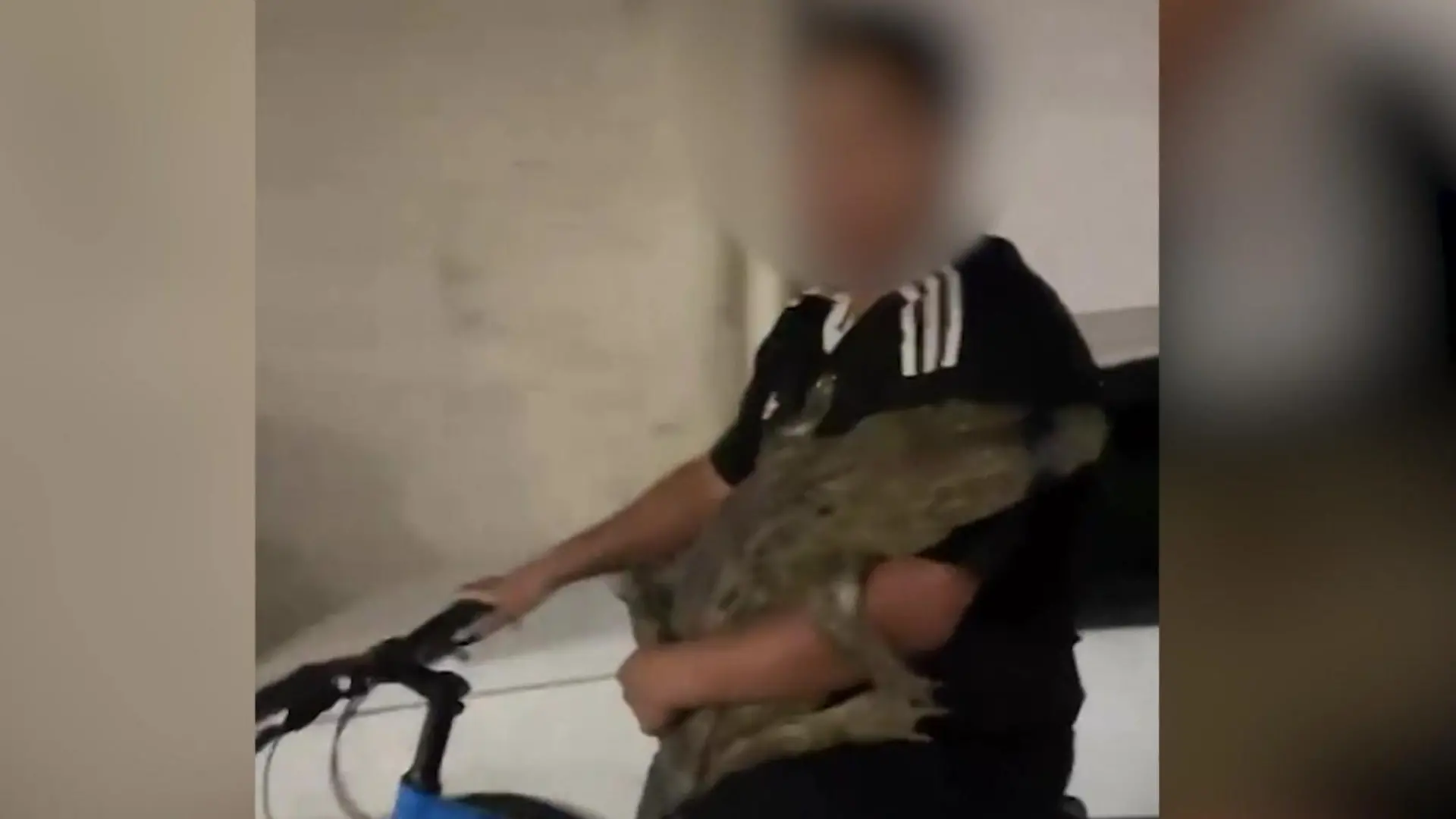 Skurrile Radtour in Rio! Jugendlicher fährt lebendigen Alligator spazieren Er hält ihn einfach auf dem Arm