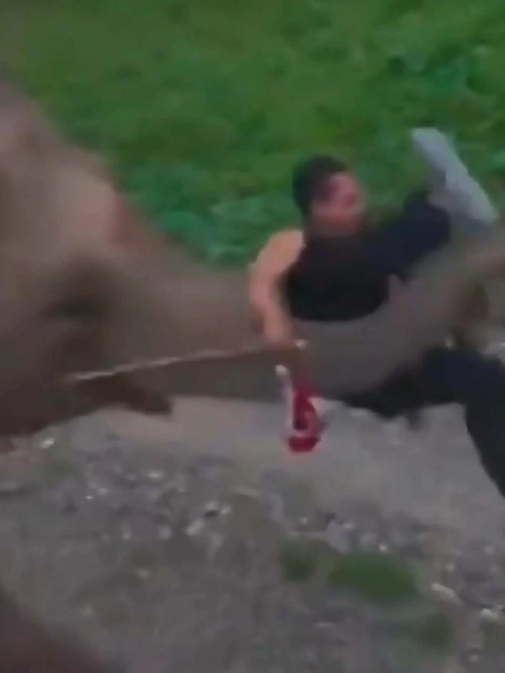 Bild zu: "Rüssel gestrichen voll! Elefant packt sich Touristen – und schleudert ihn weg"