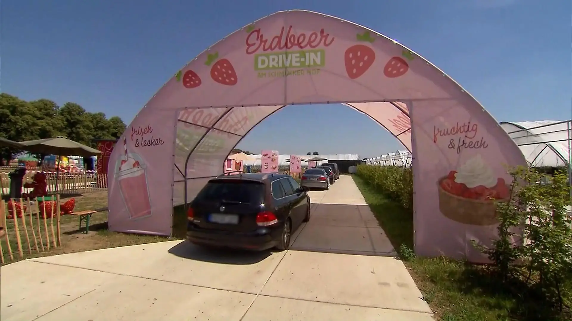 Erdbeer-Drive-In in Bottrop Früchte direkt vom Feld
