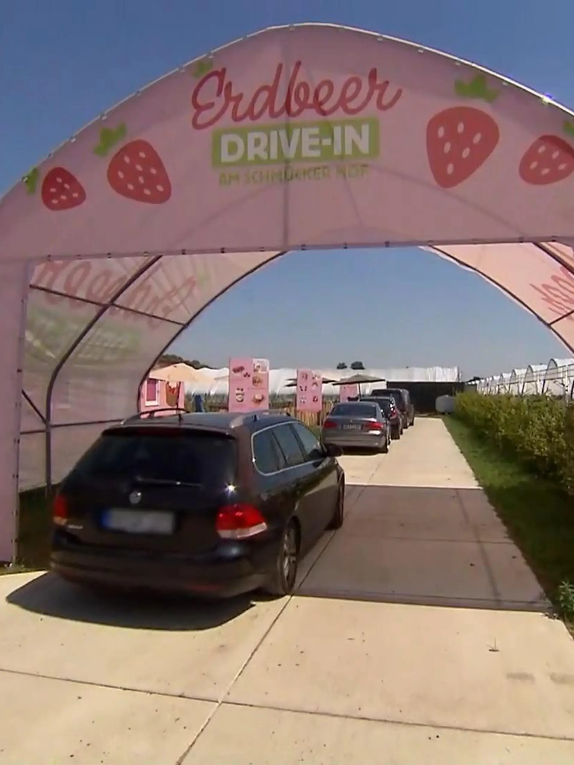 Bild zu: "Erdbeer-Drive-In in Bottrop"