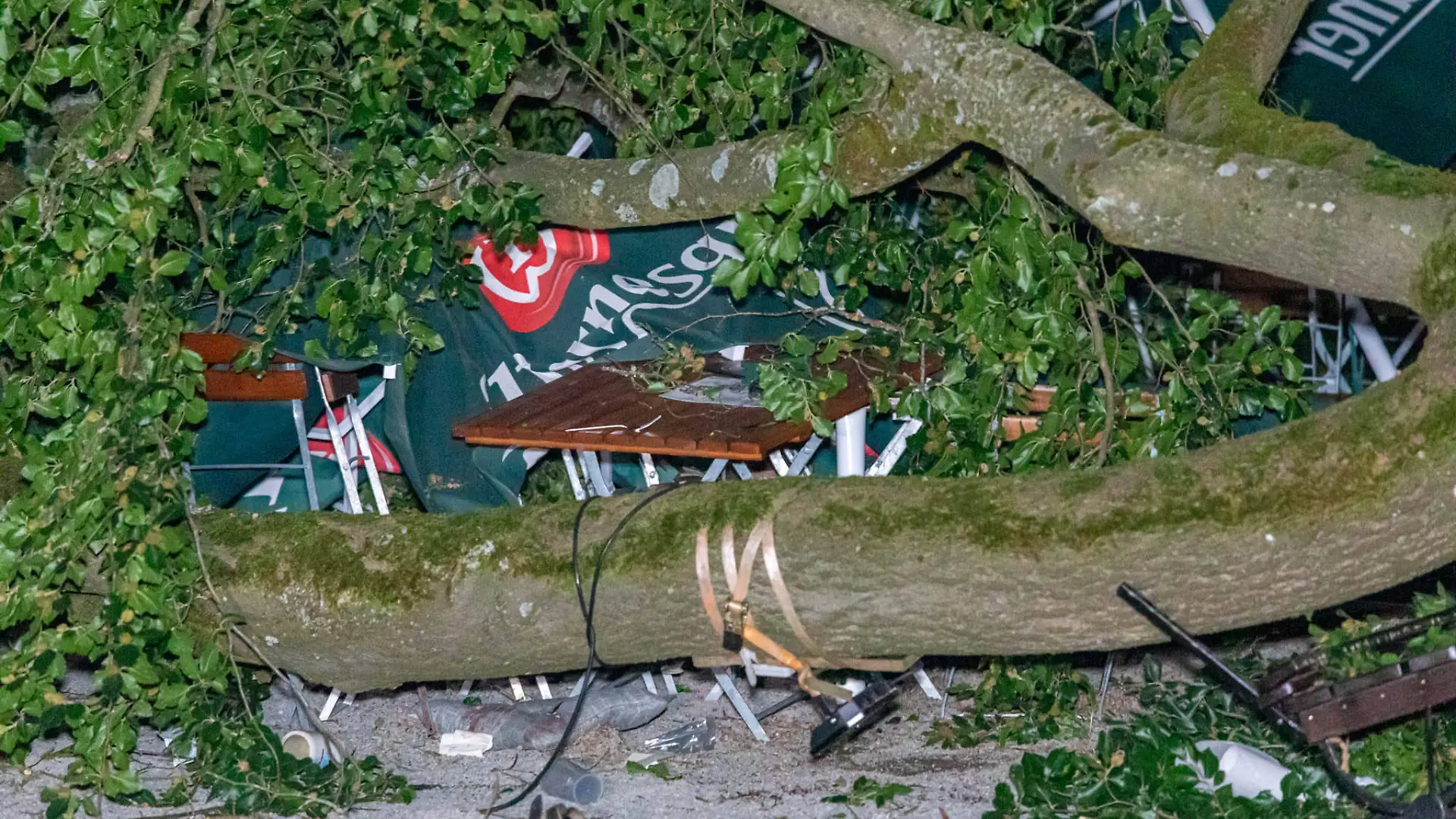 Ast im Biergarten