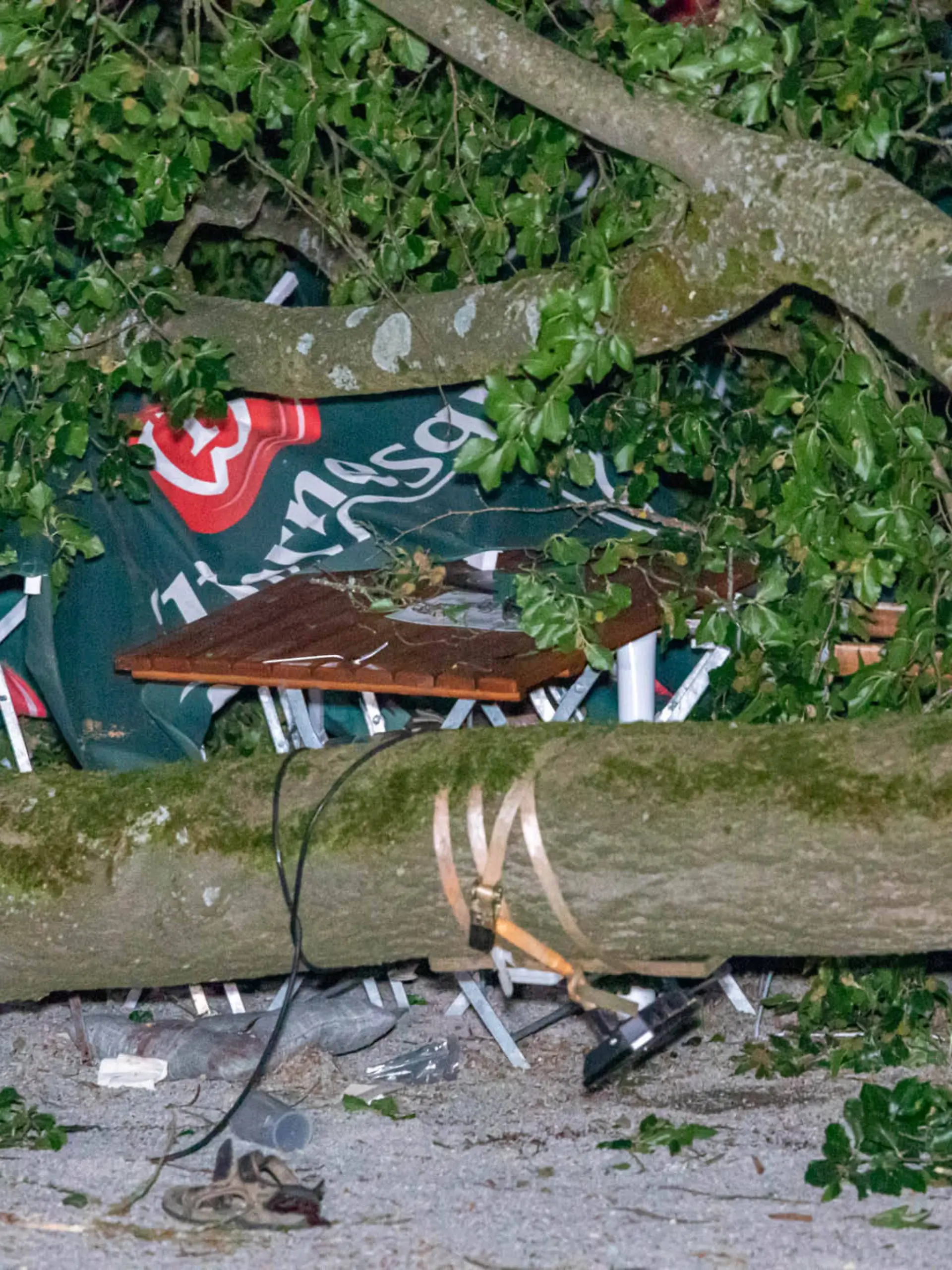 Ast im Biergarten