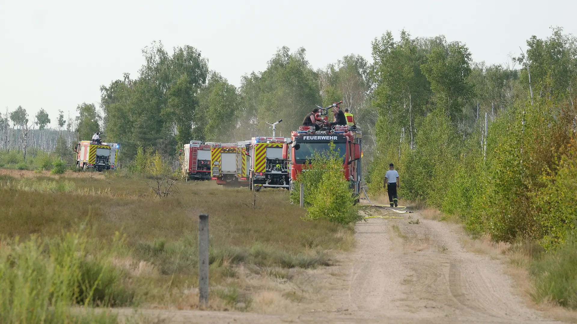 Feuerwehrkräfte stehen in der Gohrischheide. Dort ist am Samstagnachmittag ein Waldbrand ausgebrochen.