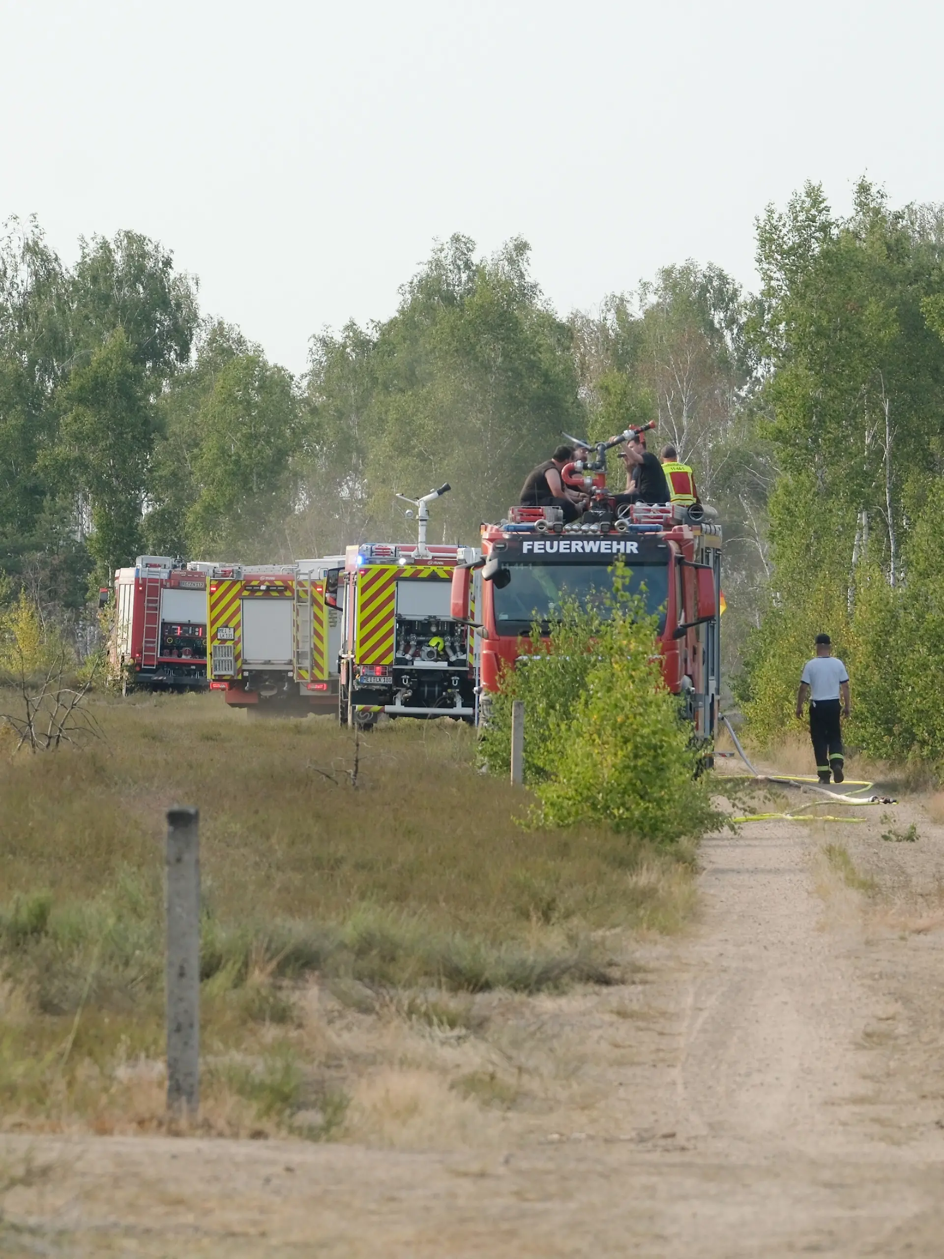 Feuerwehrkräfte stehen in der Gohrischheide. Dort ist am Samstagnachmittag ein Waldbrand ausgebrochen.
