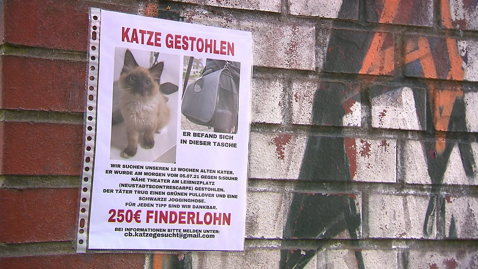 Wo ist Joki?