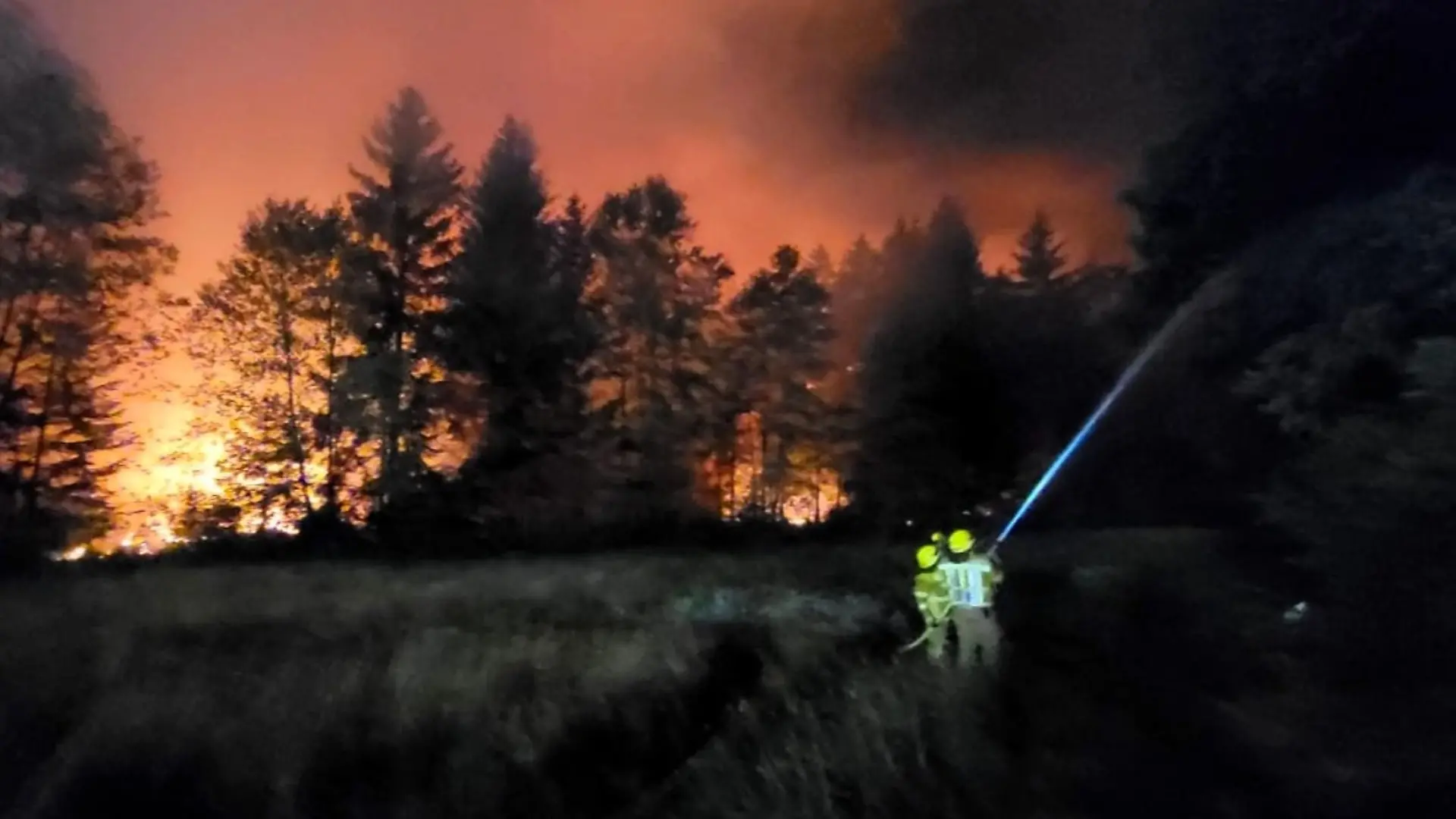 HANDOUT - 29.06.2026, Bayern, Übersee: Die Feuerwehr bekämpft einen Waldbrand im Bereich der Gemeinde Übersee am Chiemsee. Die nahegelegene A8 ist deswegen komplett gesperrt. Foto: Wolfgang Gasser/Kreisfeuerwehrverband Traunstein/dpa - ACHTUNG: Nur zur redaktionellen Verwendung im Zusammenhang mit der aktuellen Berichterstattung und nur mit vollständiger Nennung des vorstehenden Credits +++ dpa-Bildfunk +++