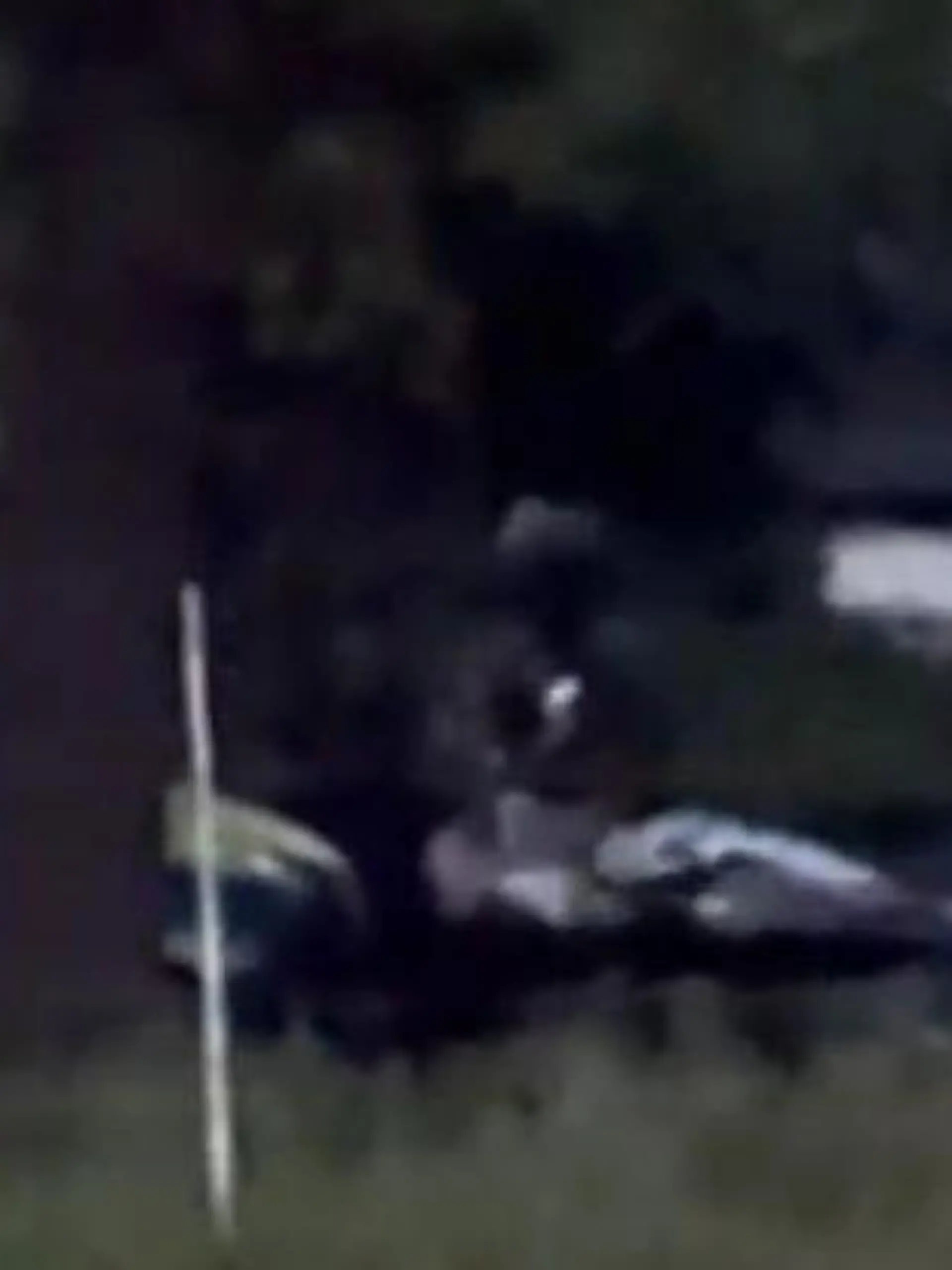 Bild zu: "Sie haben ihn! Hier bringt die Polizei den Bremen-Killer weg"