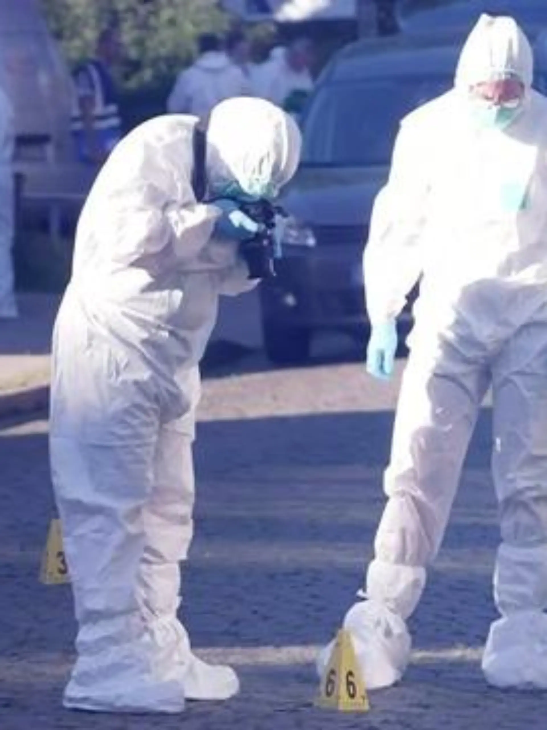 Bild zu: "Sechs Tote in Stade – alle Fakten, alle Hintergründe"