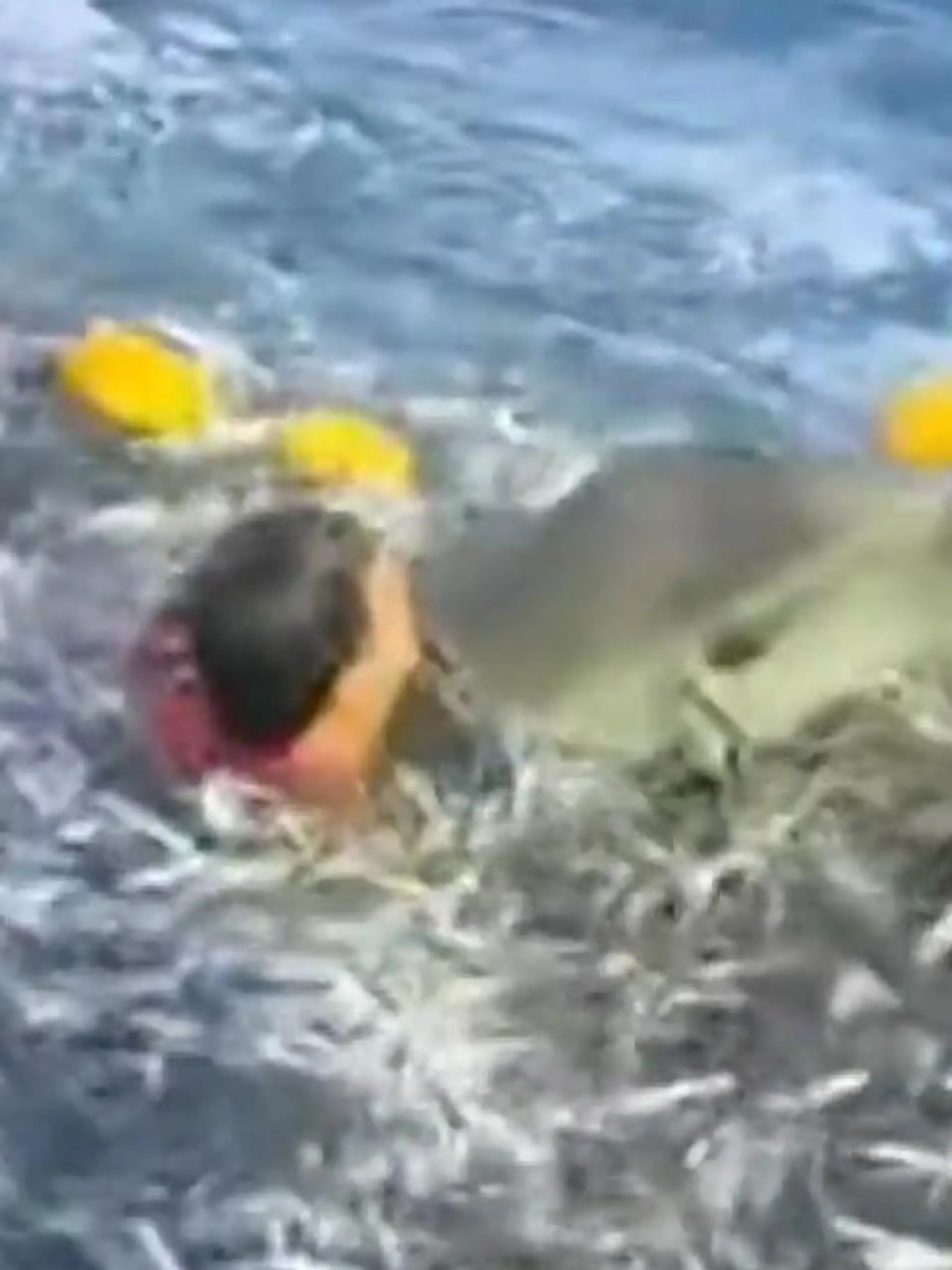 Bild zu: "Delfin verfangen! Mutiger Kapitän stürzt sich ins volle Fischernetz – in Unterhose"