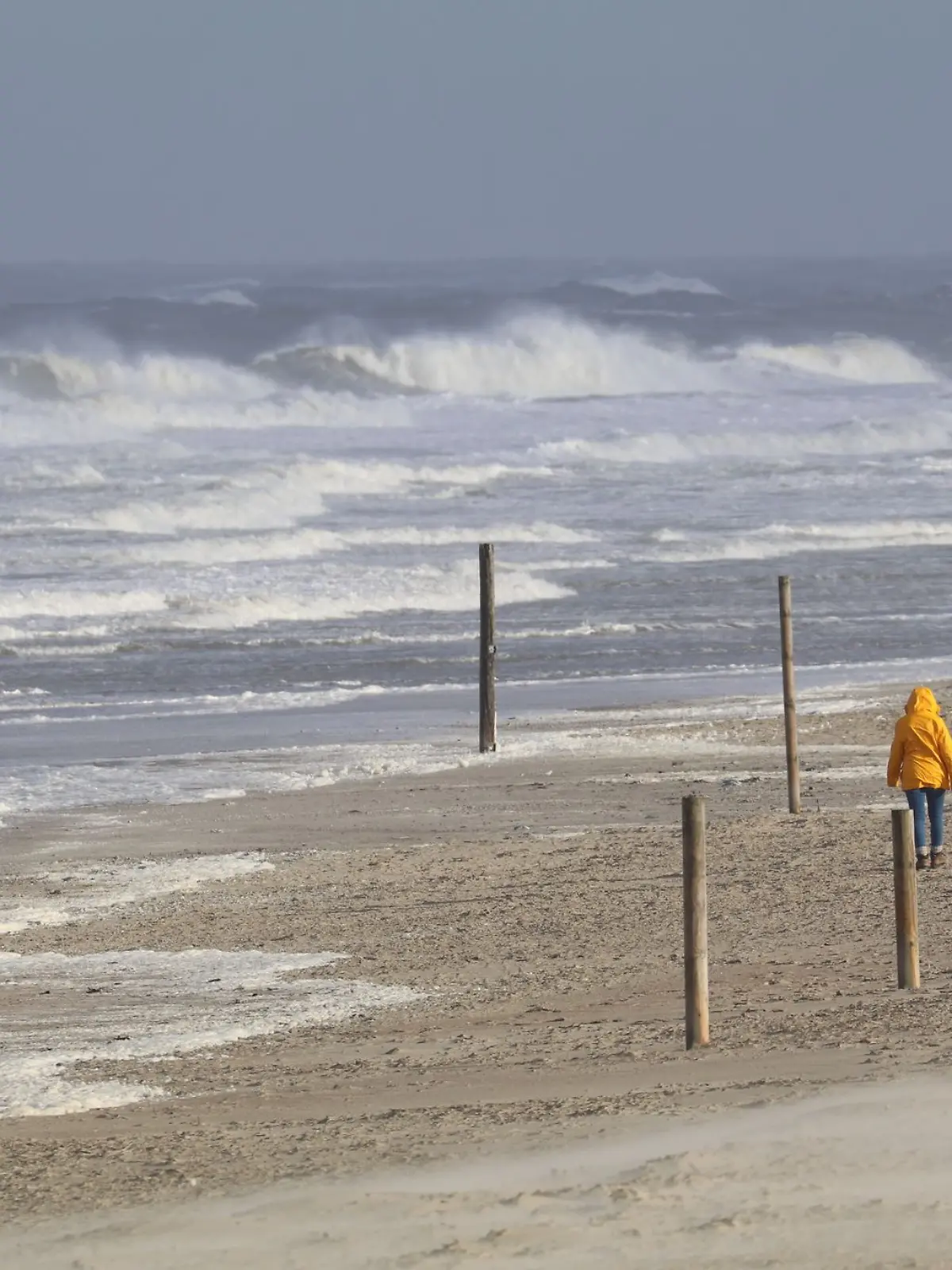 Bild zu: "Bis zum Bauch in der Nordsee - Frauen von Sandbank gerettet"