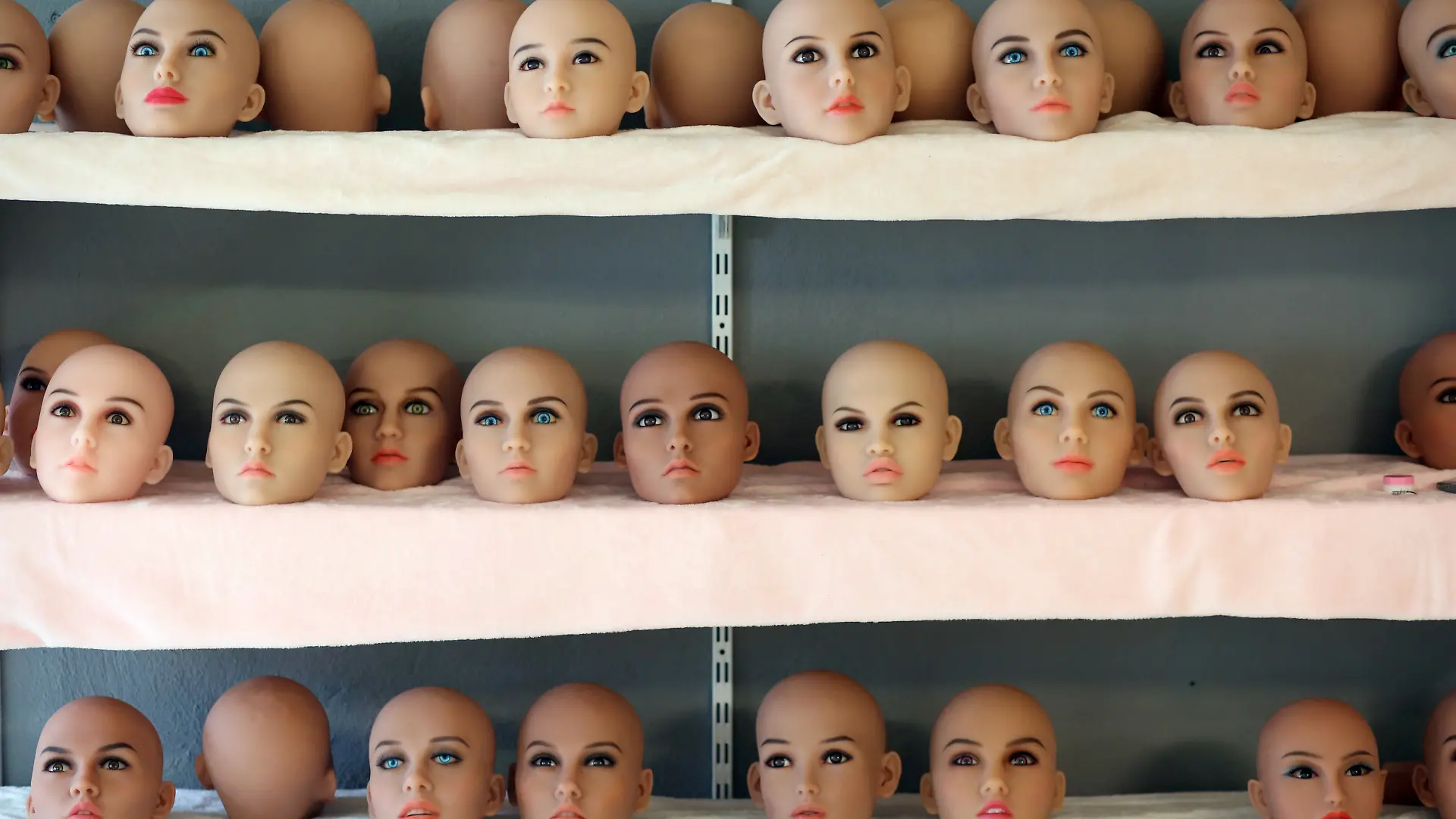 Köpfe von lebensechten Liebespuppen, die sich noch in der Fertigung befinden, liegen in einem Regal der Firma RS-Dolls. Die Nachfrage nach lebensechten Puppen ist nach Angaben des Geschäftsführers steigend. Pro Jahr verkauft RS-Dolls weltweit mehrere tausend Puppen.