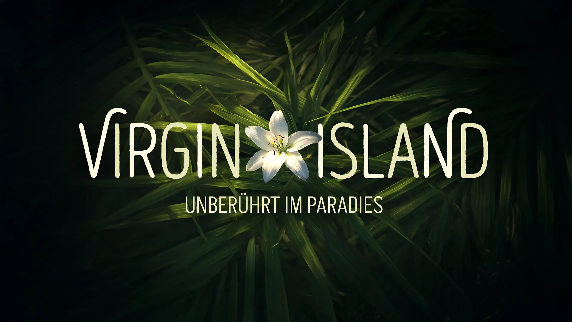 „Virgin Island” setzt auf Mut, Offenheit und erste Male