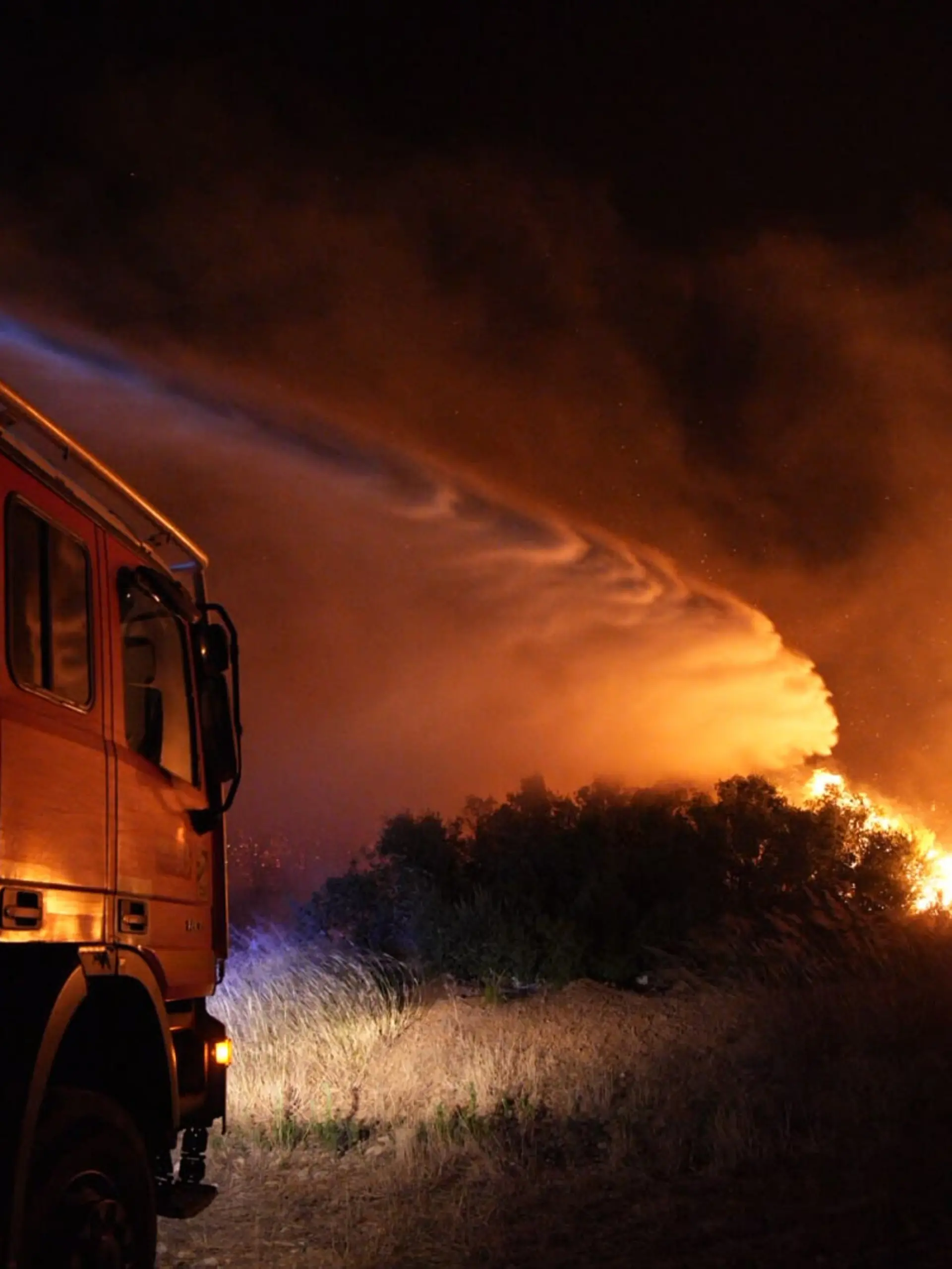 Die Feuerwehr versucht, einen Waldbrand zu löschen