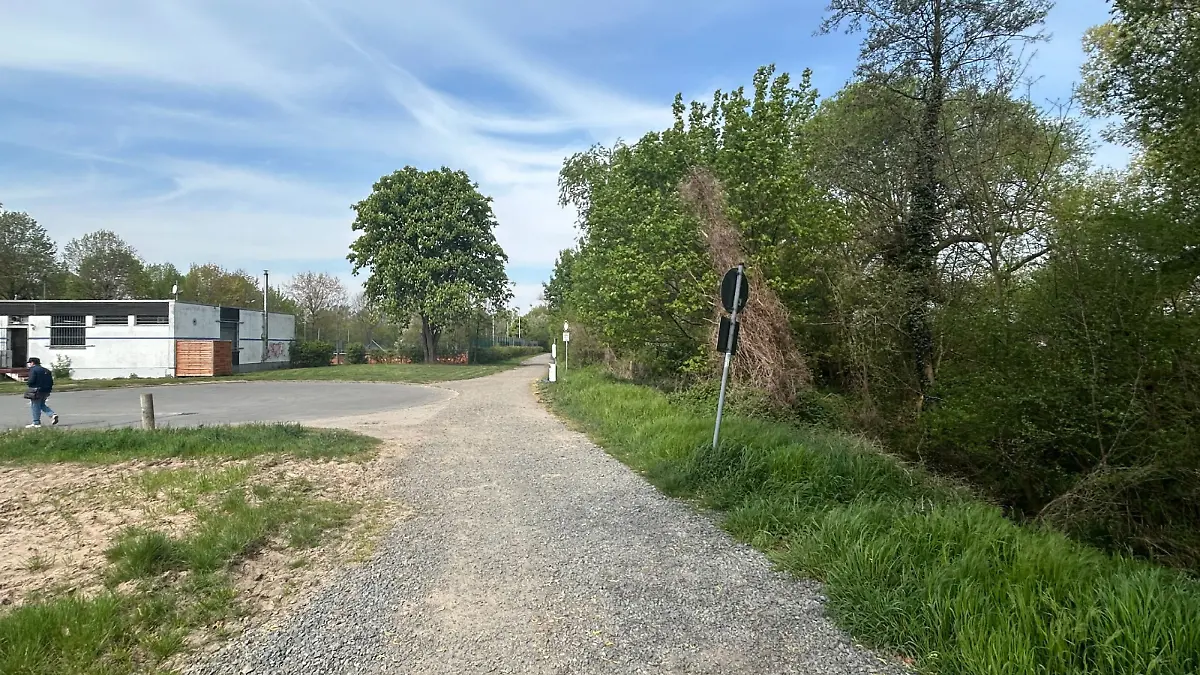 Erzhausen (Hessen): Frau geht mit Kinderwagen in Wald und kommt ohne zurück