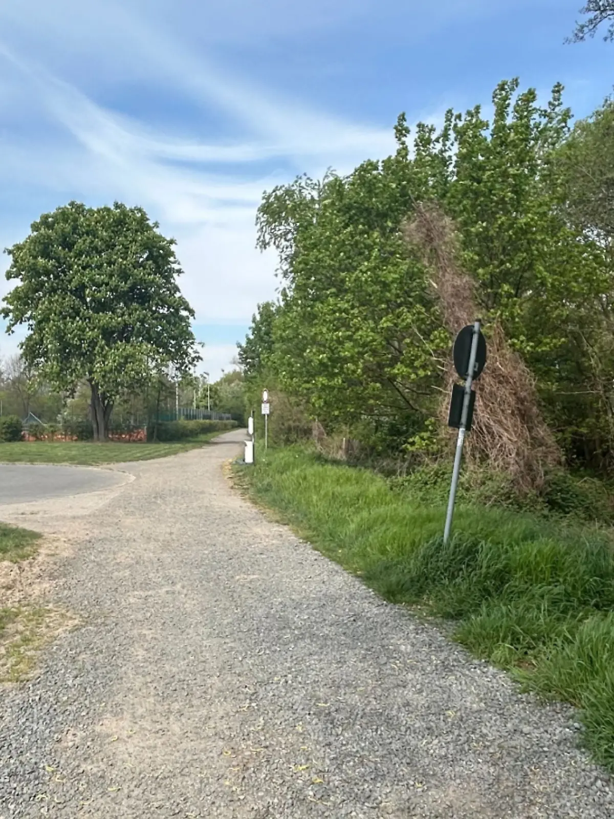 Bild zu: "Frau geht mit Kinderwagen in Wald – und kommt ohne wieder raus"