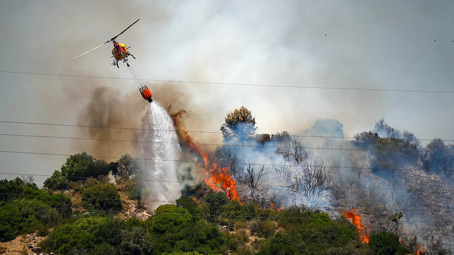 In Portugal kämpfen die Einsatzkräfte gegen schwere Waldbrände