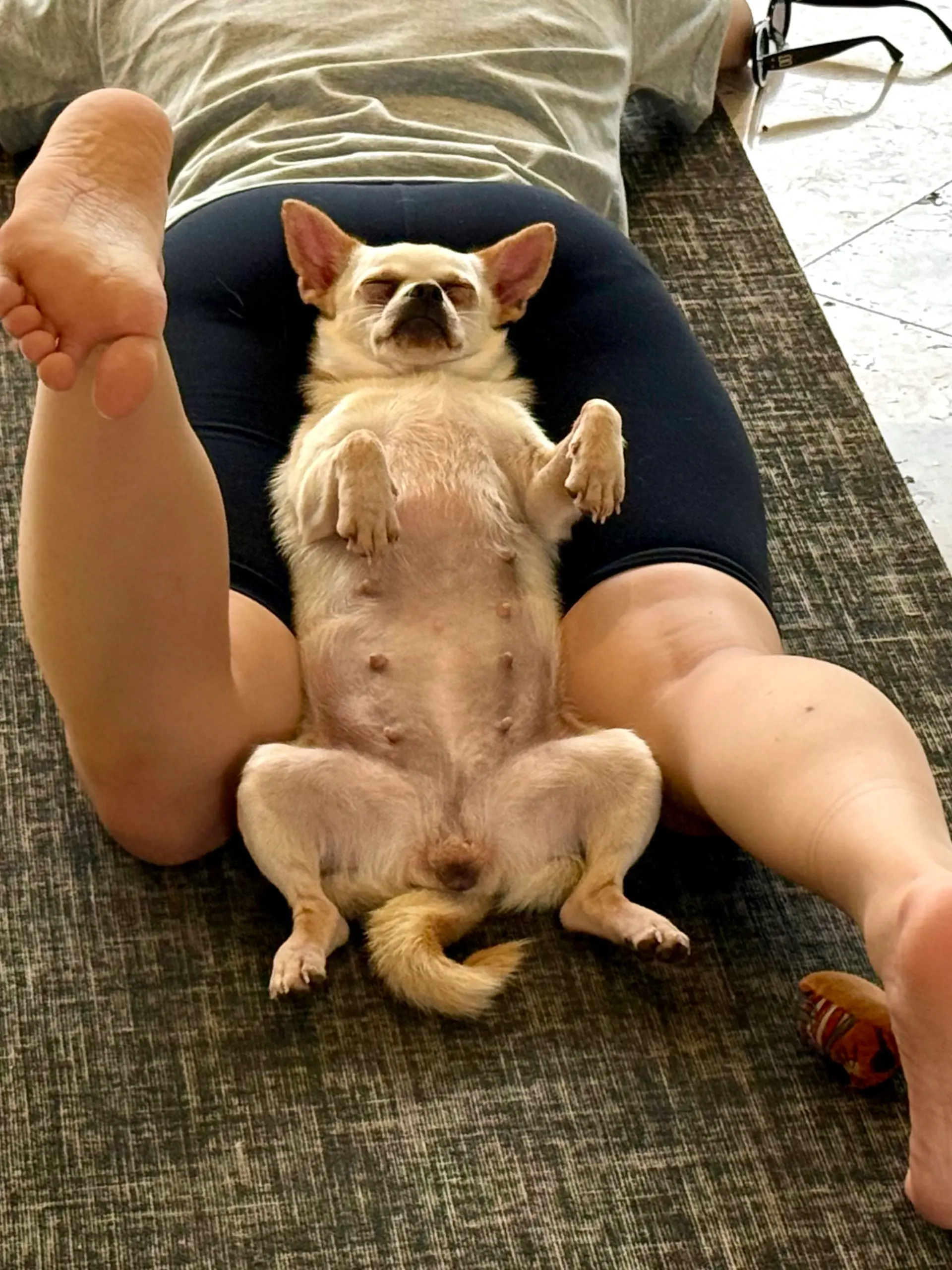 21.06.2026, Indonesien, Canggu: Ein Hundewelpe tapst auf Teilnehmern beim Puppy Yoga im Anginsepoi Hotel im Badeort Canggu herum. Mit süßen Tierbabys Yoga zu machen, hat sich zu einem weltweiten Wellness-Trend entwickelt. Aber es gibt auch Kritik. (zu dpa: «Trend Puppy Yoga: Herabschauender Hund trifft Hundebabys») Foto: Carola Frentzen/dpa +++ dpa-Bildfunk +++